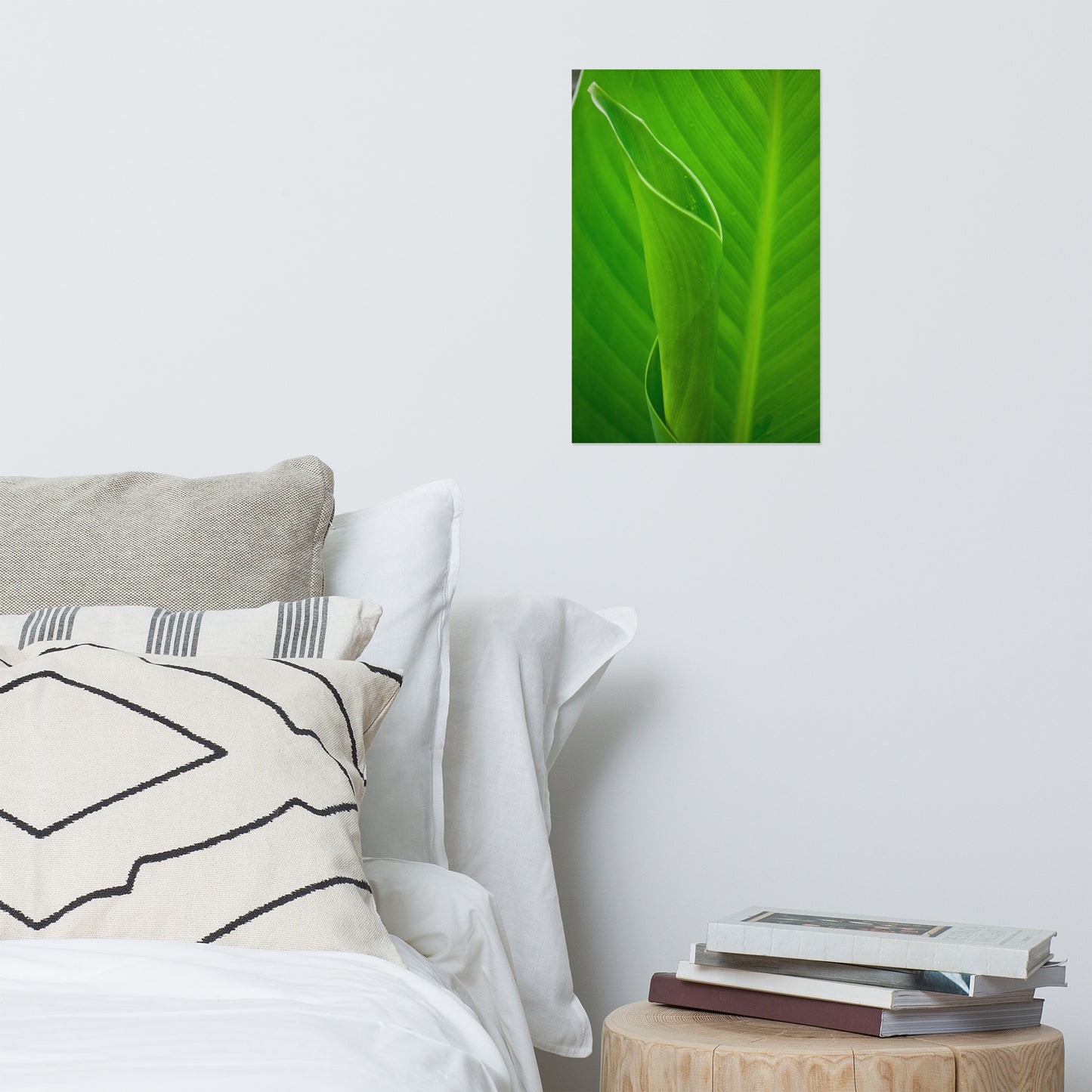 Leaves of Canna Lily Modern Farmhouse Style Botanical Nature Photo Loose Unframed Wall Art Prints
