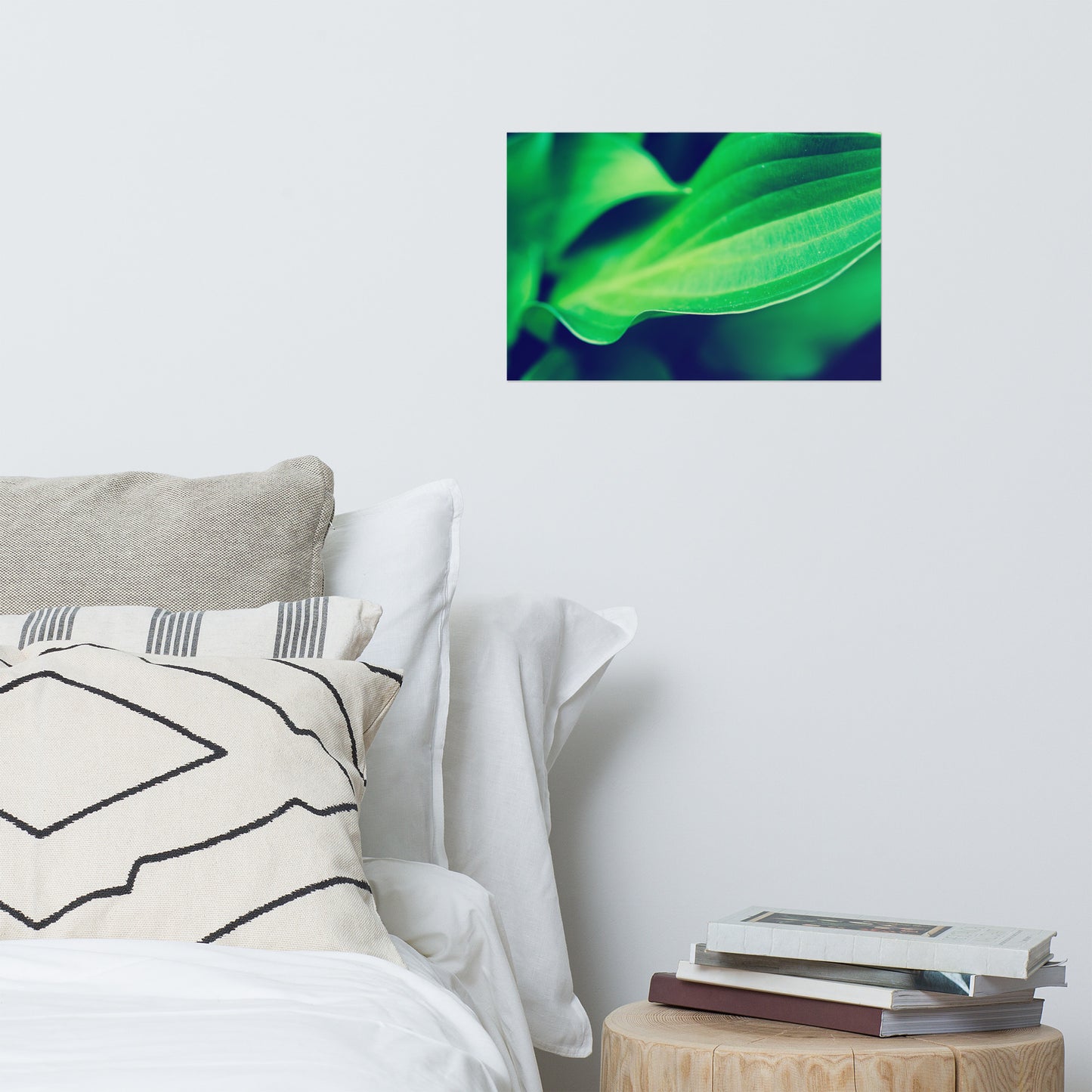 Mellow Hosta Leaves Modern Rustic Farmhouse Style Botanical Nature Photo Loose Unframed Wall Art Prints