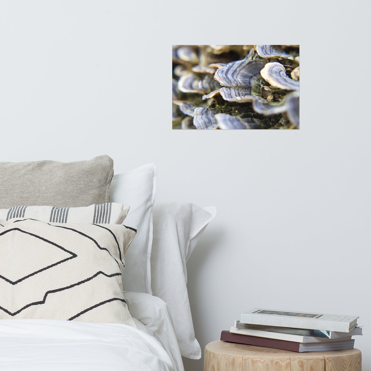 Mushrooms on Log Rustic Farmhouse Style Botanical Nature Photo Loose Unframed Wall Art Prints