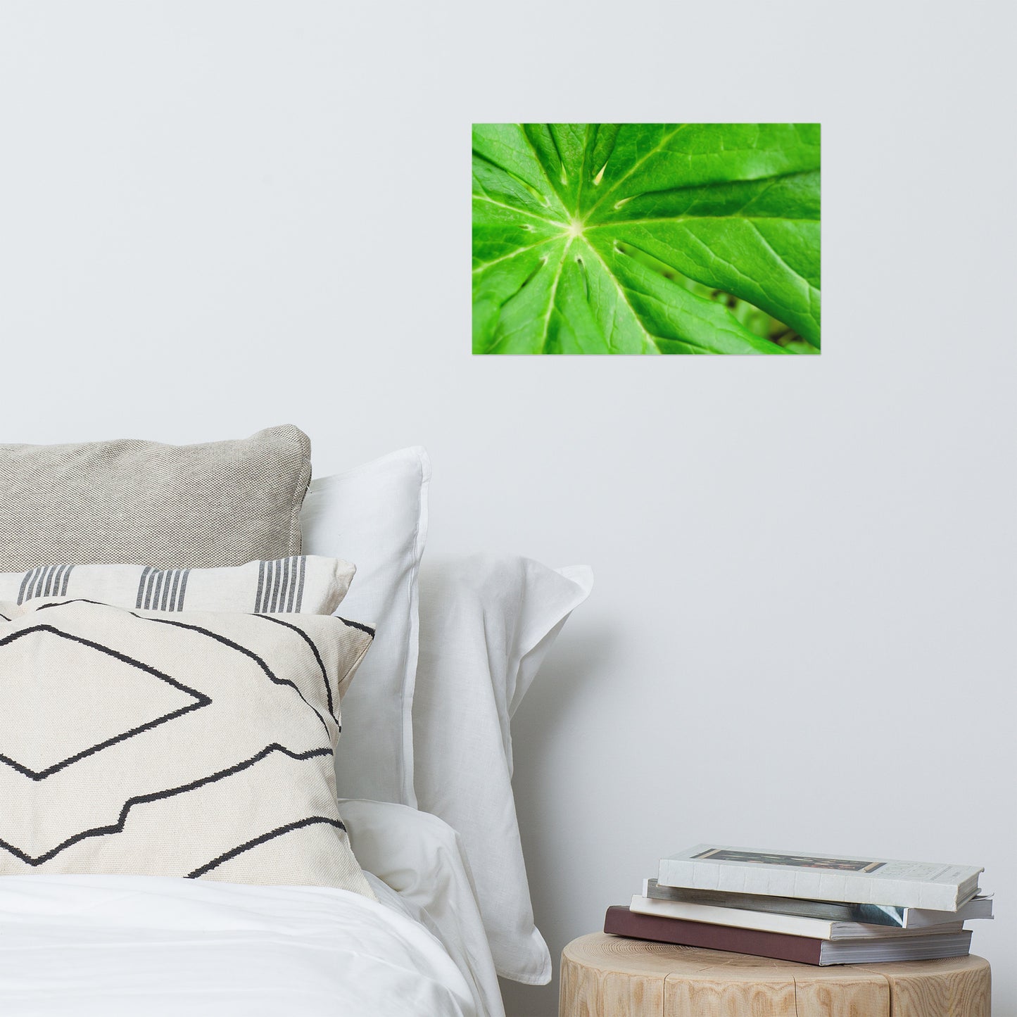 Peaceful Greenery Minimalist Botanical Nature Photo Loose Unframed Wall Art Prints