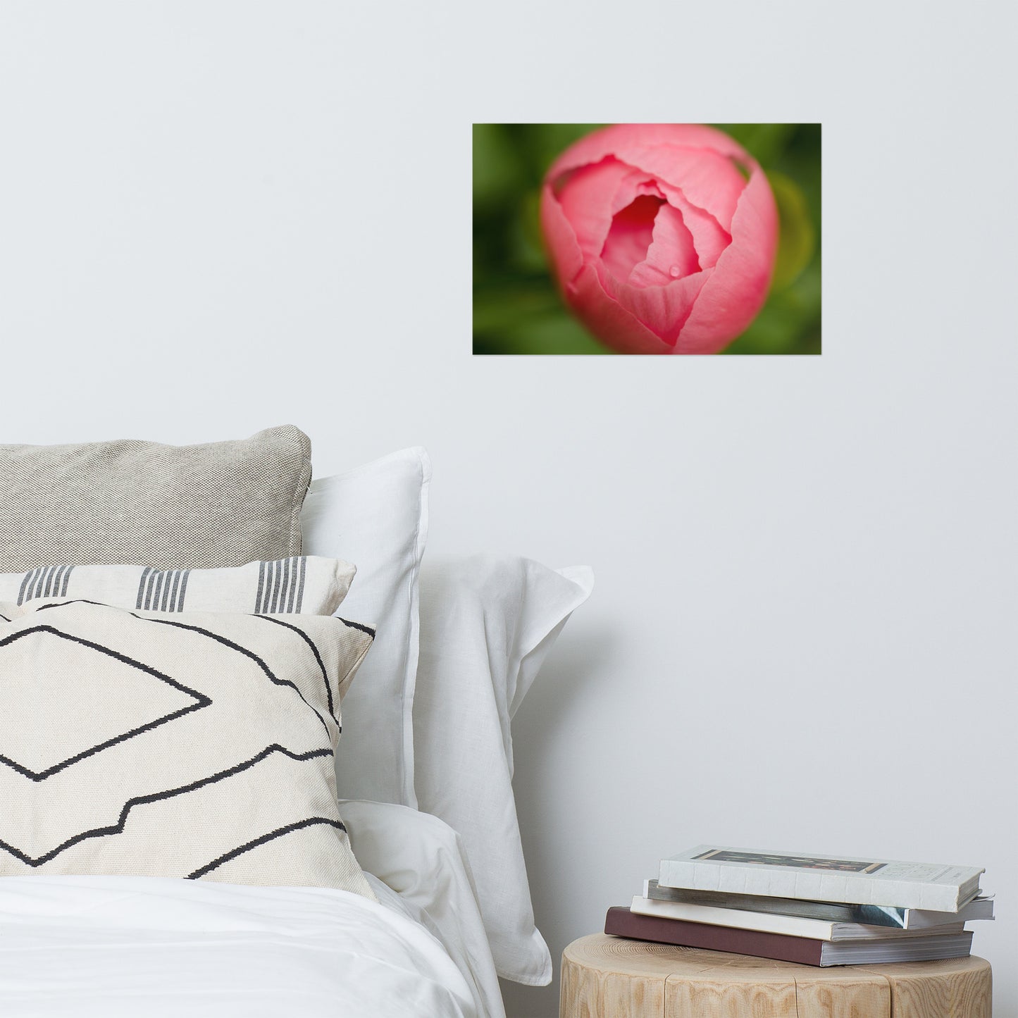 Peony Bud Floral Nature Photo Loose Unframed Wall Art Prints