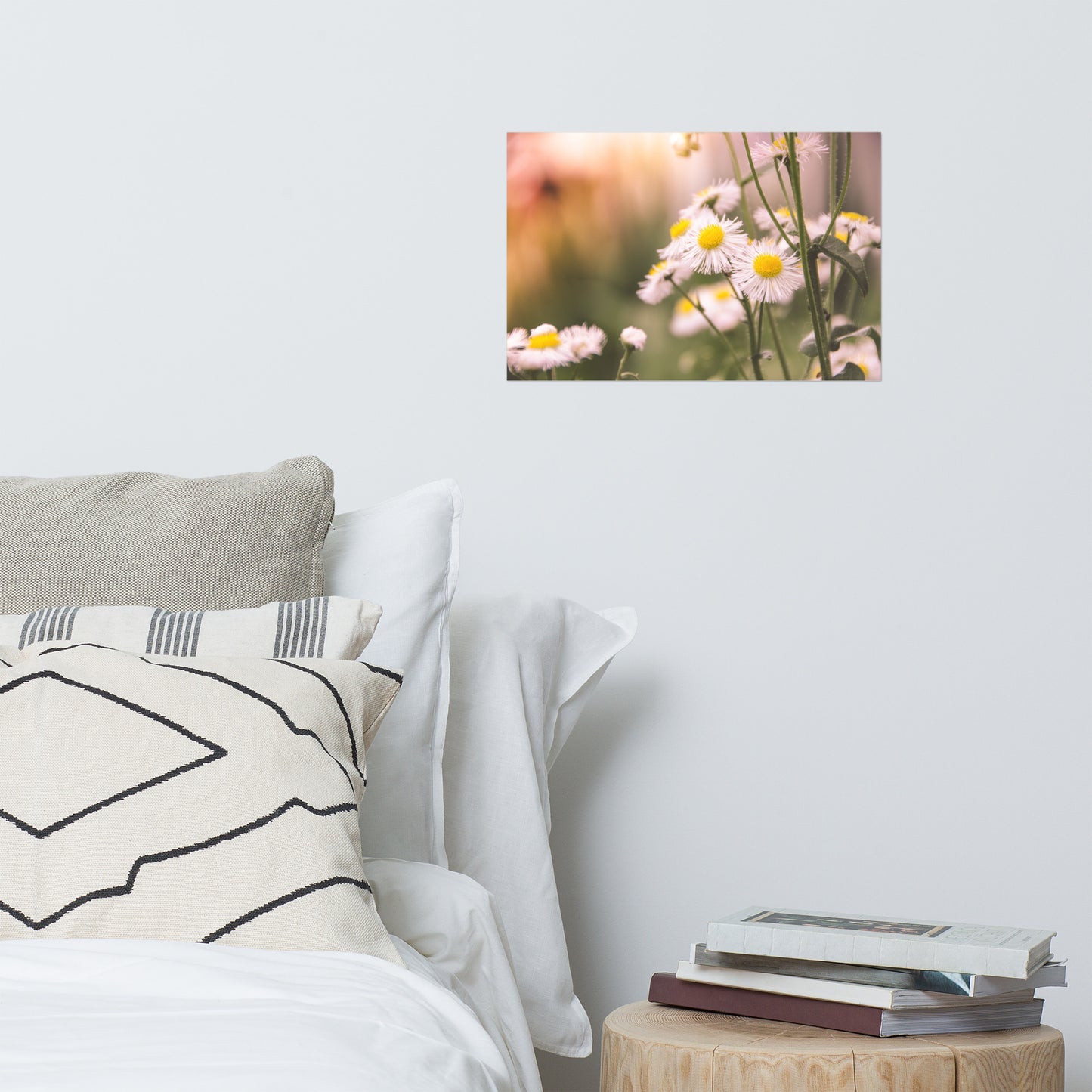 Philadelphia Fleabane Cluster Softened Floral Nature Photo Loose Unframed Wall Art Prints