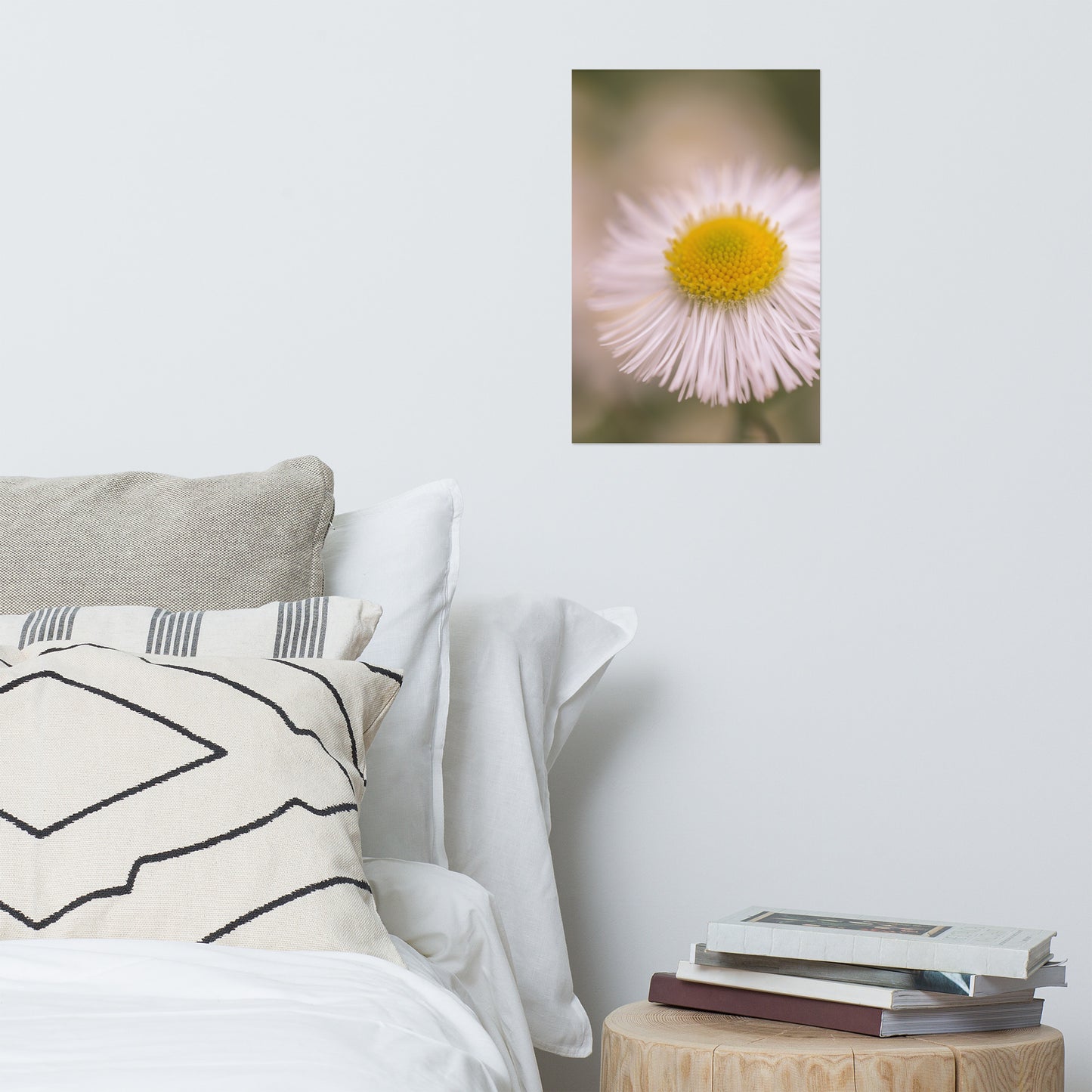 Philadelphia Fleabane Single Bloom Floral Nature Photo Loose Unframed Wall Art Prints