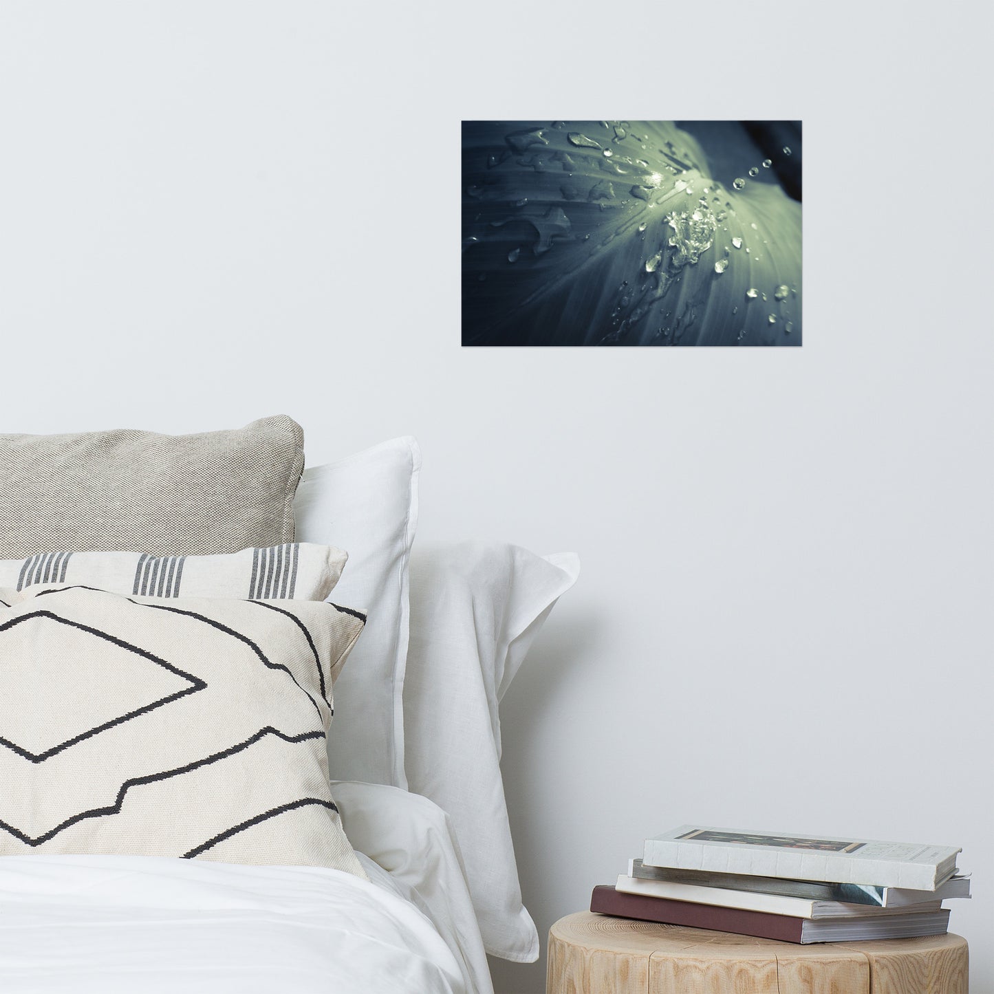 Rain Dropping on Canna Leaf Minimalist Botanical Nature Photo Loose Unframed Wall Art Prints