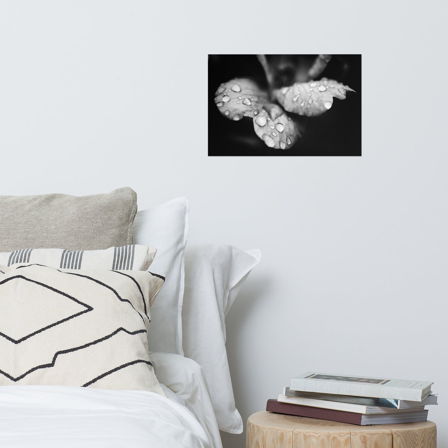 Raindrops on Wild Rose Black and White Botanical Nature Photo Loose Unframed Wall Art Prints