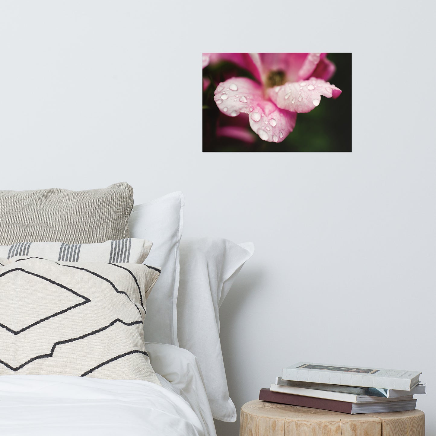 Raindrops on Wild Rose Floral Nature Photo Loose Unframed Wall Art Prints