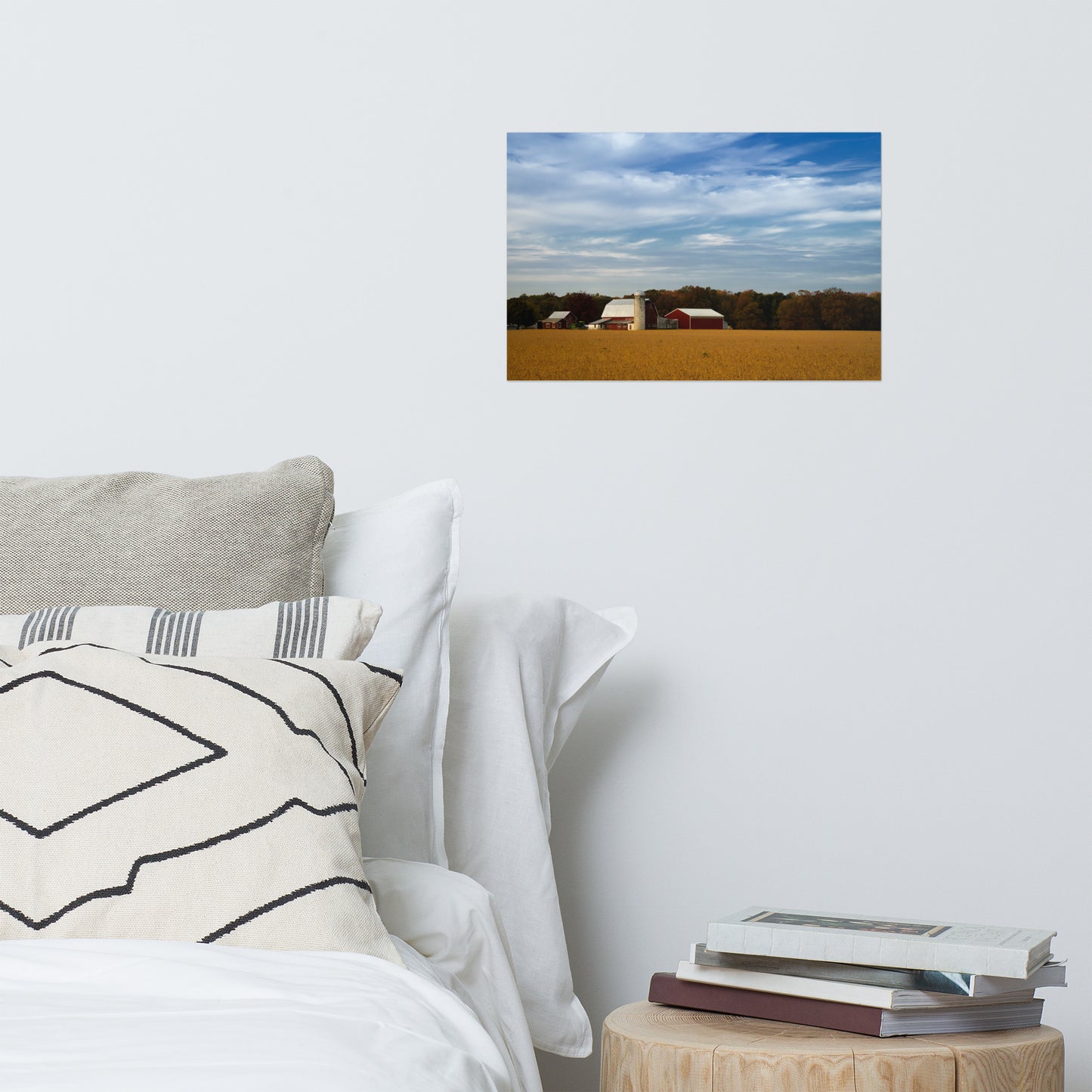 Red Barn in Golden Field Traditional Color Rustic Farmhouse Style Landscape Photo Loose Wall Art Prints