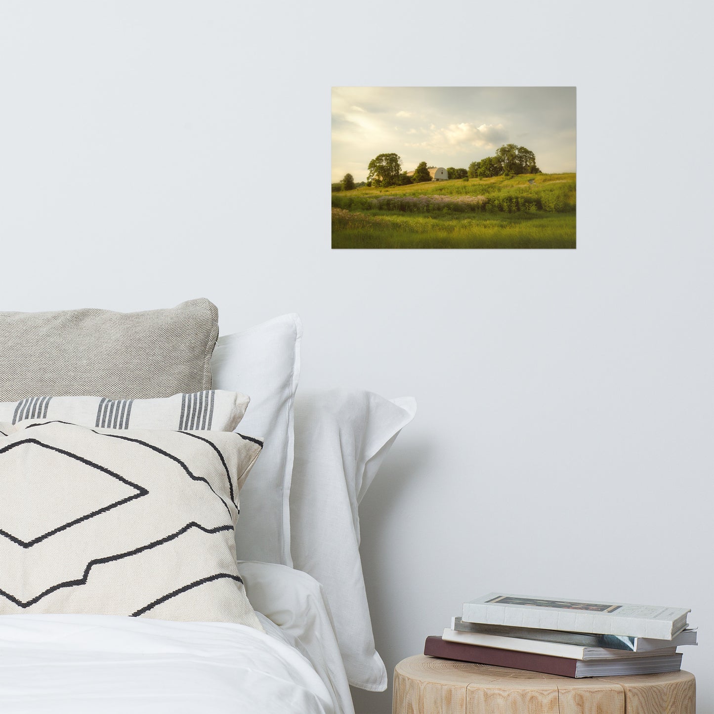 Remnant of Better Days Rustic Farmhouse Style Landscape Photo Loose Wall Art Prints