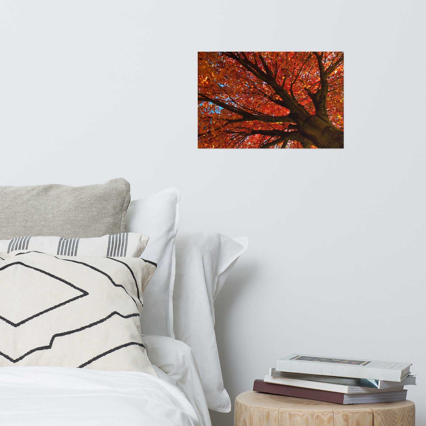 Shimmering Orange Rustic Farmhouse Style Botanical Nature Photo Loose Unframed Wall Art Prints