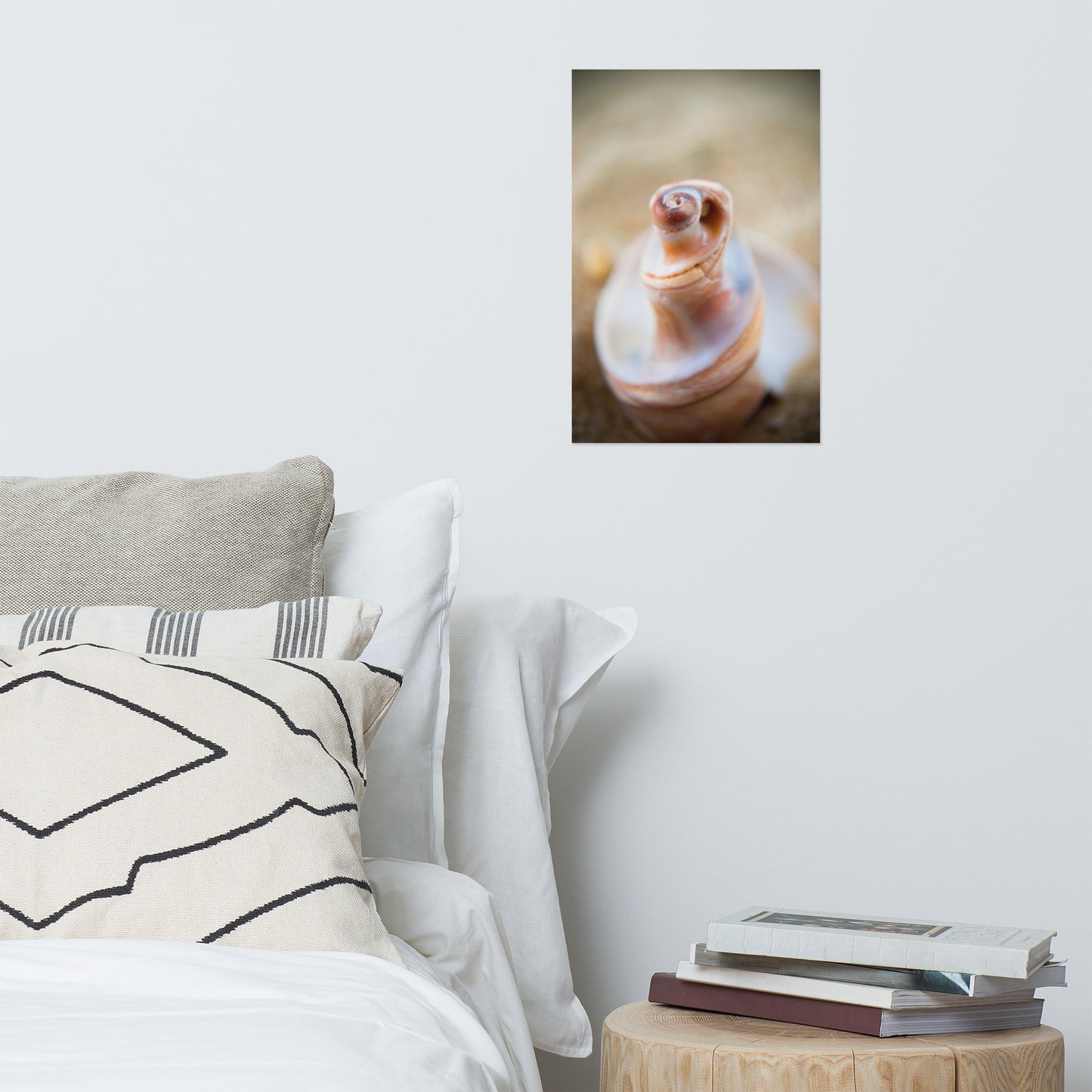 Smooth Erosion - Seashell Coastal Nature Photo Loose Unframed Wall Art Prints