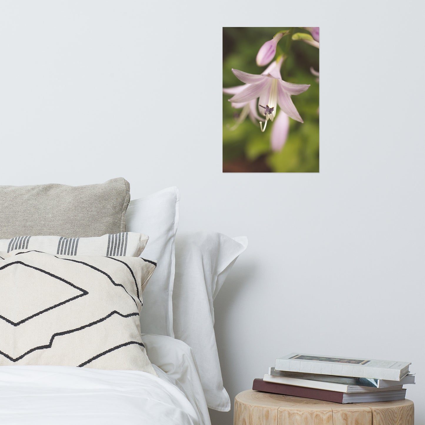 Softened Hosta Bloom Floral Nature Photo Loose Unframed Wall Art Prints