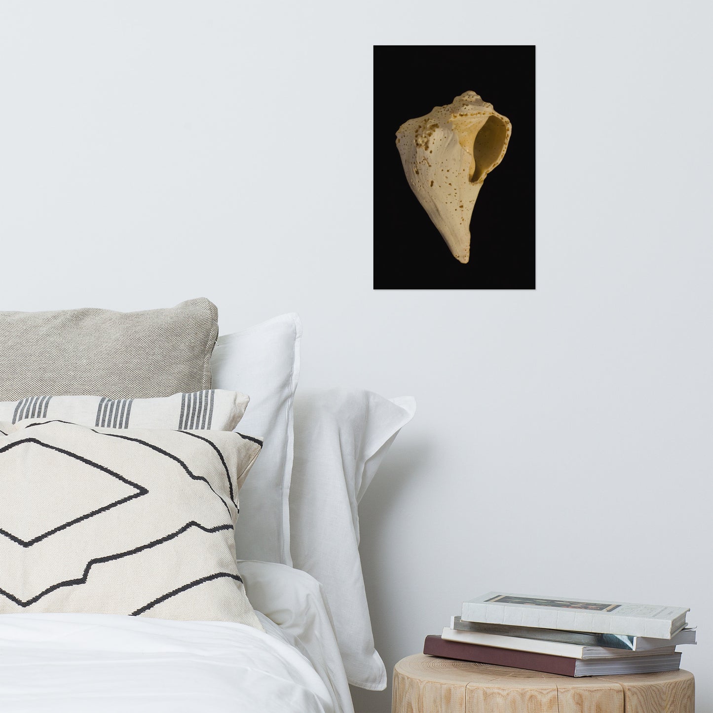 States of Erosion Image 1 Whelk Shell Coastal Nature Photo Loose Unframed Wall Art Prints