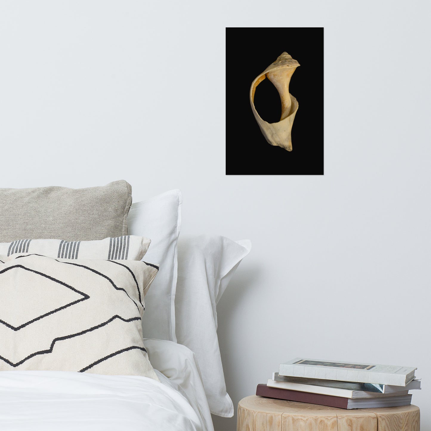 States of Erosion Image 2 Whelk Shell Coastal Nature Photo Loose Unframed Wall Art Prints