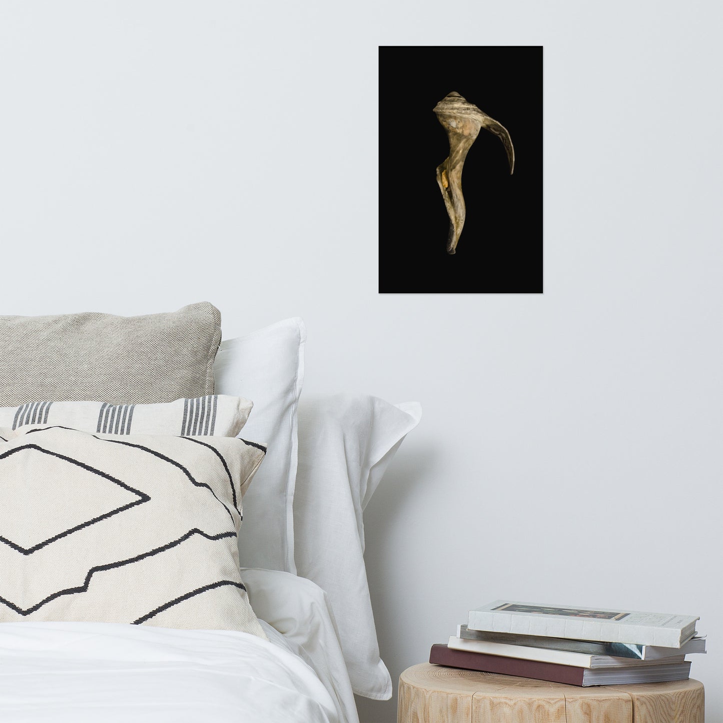 States of Erosion Image 4 Whelk Shell Coastal Nature Photo Loose Unframed Wall Art Prints