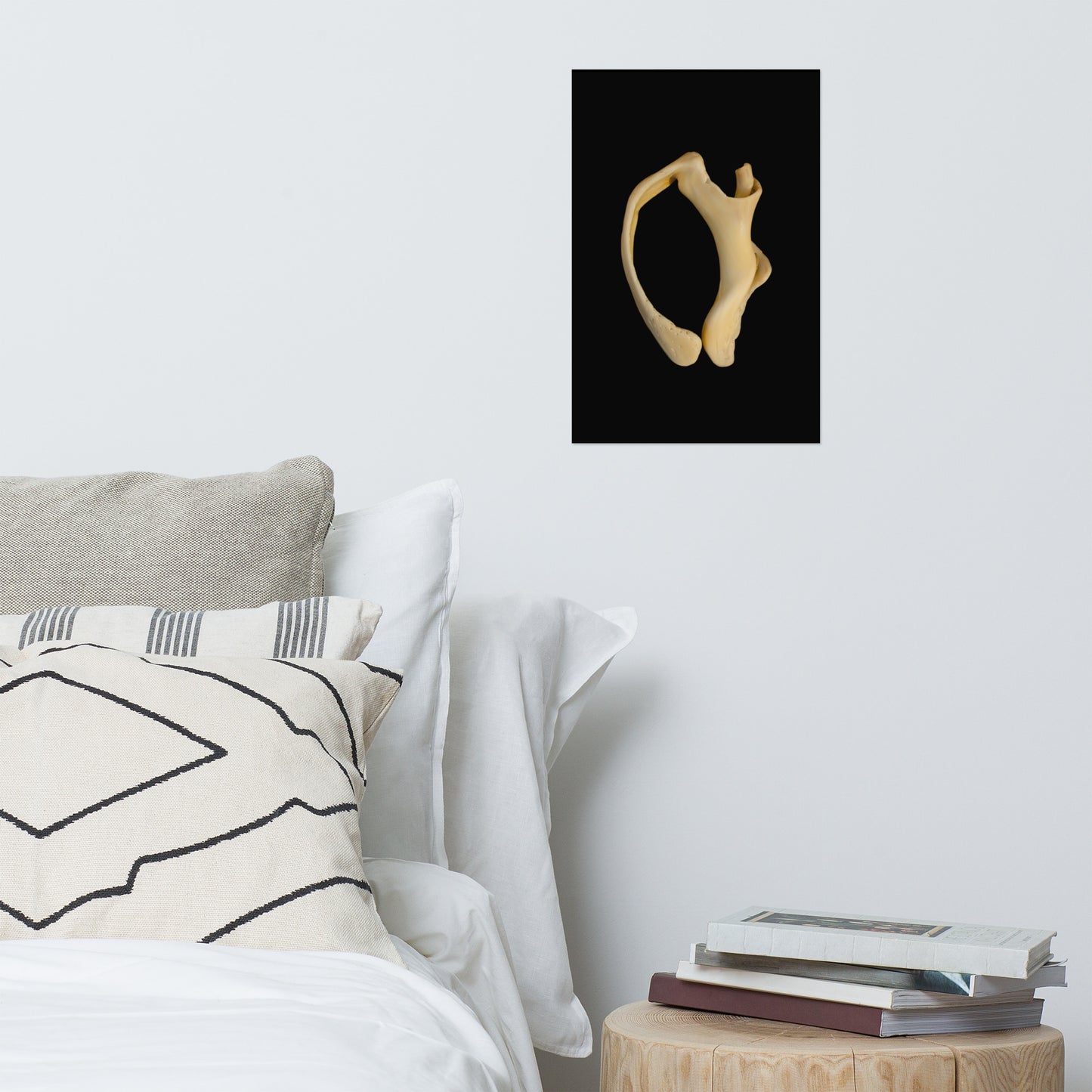 States of Erosion Image 6 Whelk Shell Coastal Nature Photo Loose Unframed Wall Art Prints