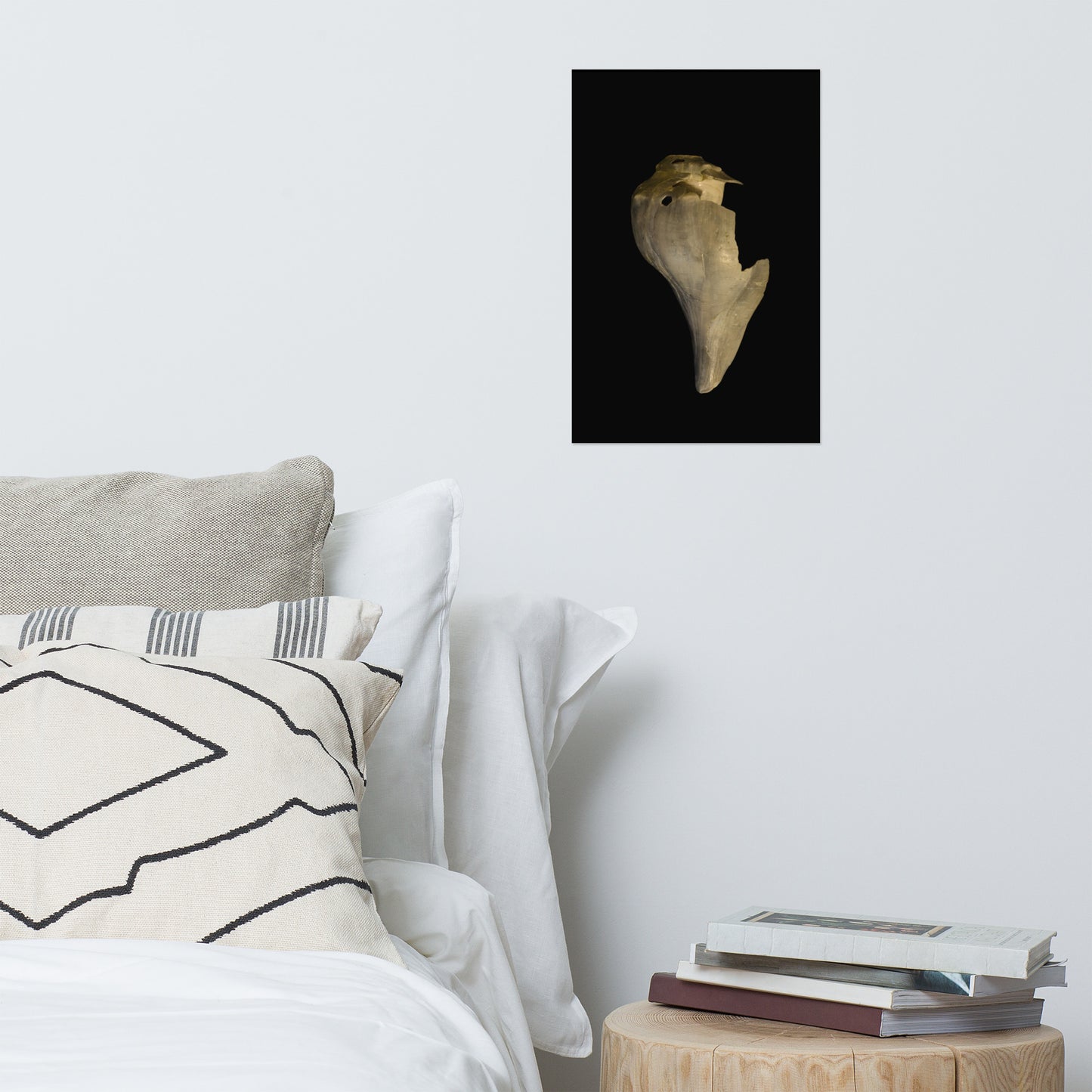 States of Erosion Image 7 Whelk Shell Coastal Nature Photo Loose Unframed Wall Art Prints