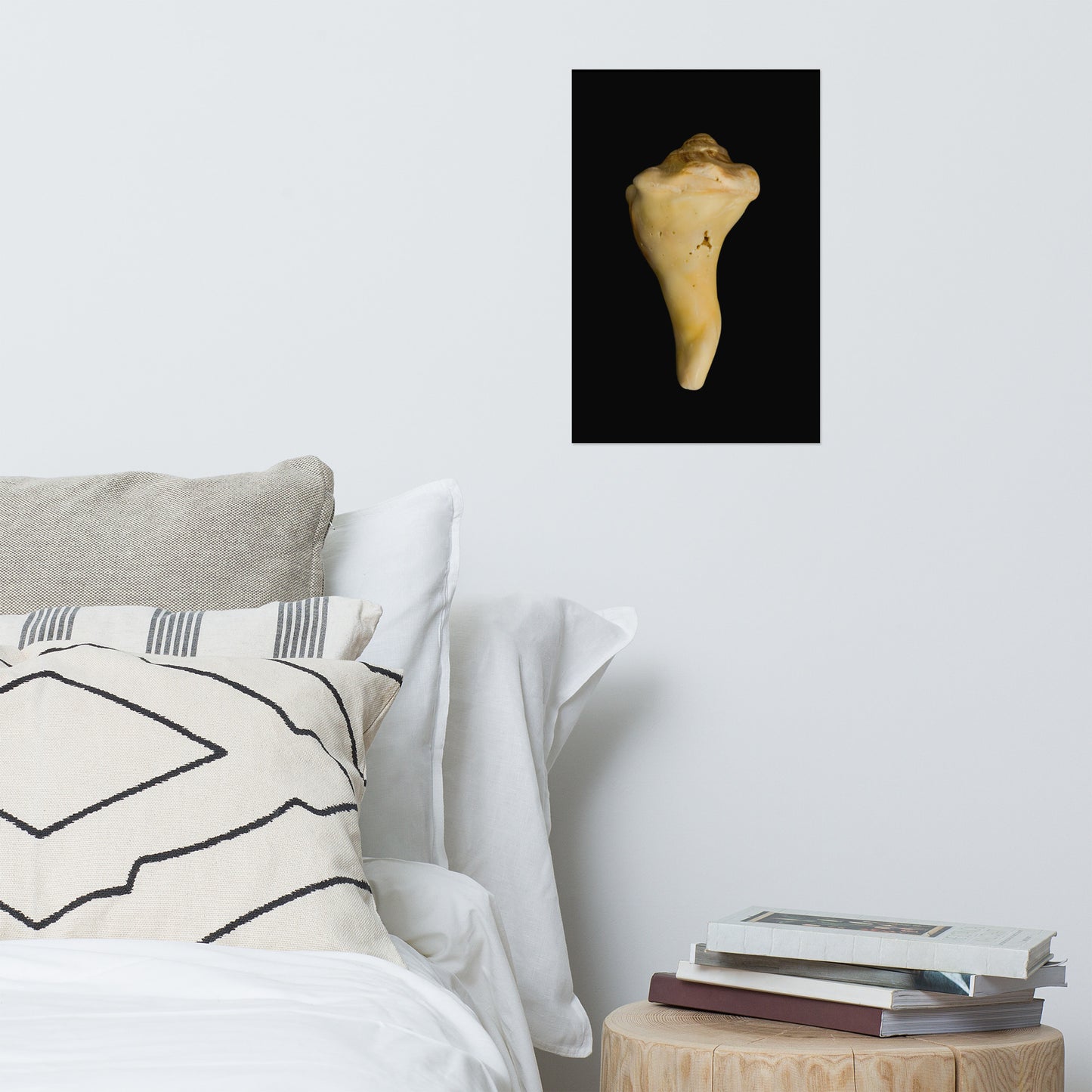 States of Erosion Image 8 Whelk Shell Coastal Nature Photo Loose Unframed Wall Art Prints