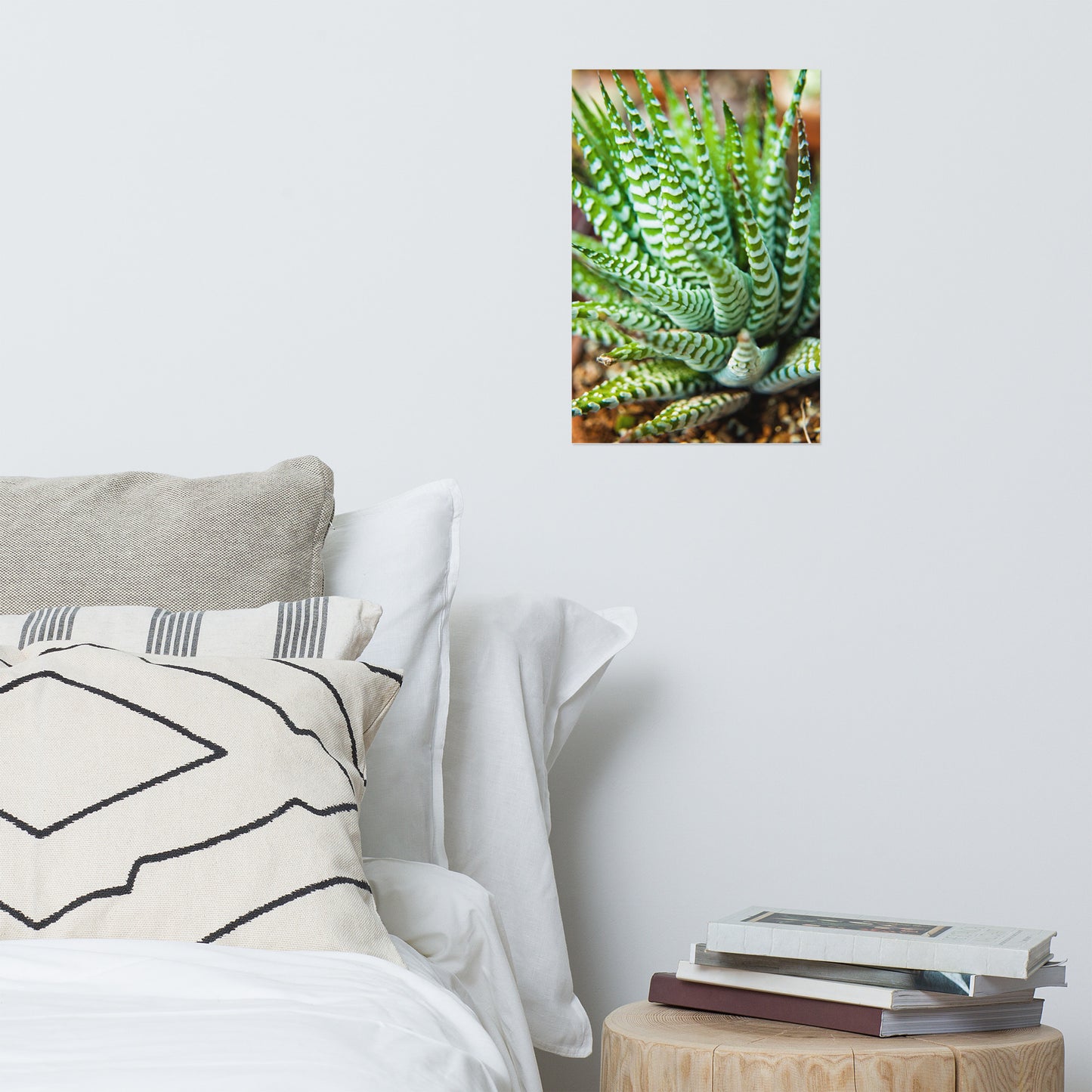 Succulent 2 Minimalist Rustic Farmhouse Style Botanical Nature Photo Loose Unframed Wall Art Prints