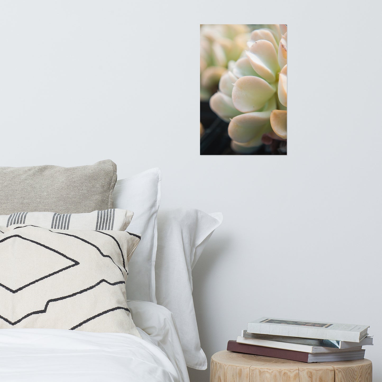 Succulent 4 Minimalist Rustic Farmhouse Style Botanical Nature Photo Loose Unframed Wall Art Prints