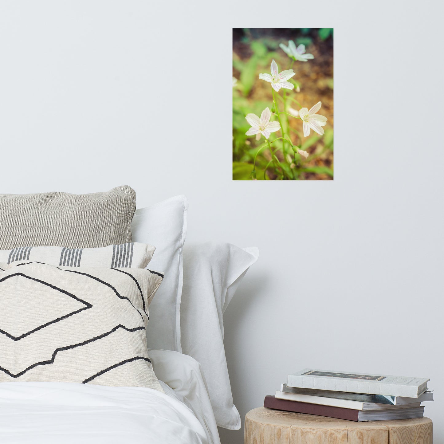Tranquil Carolina Spring Beauty Floral Nature Photo Loose Unframed Wall Art Prints