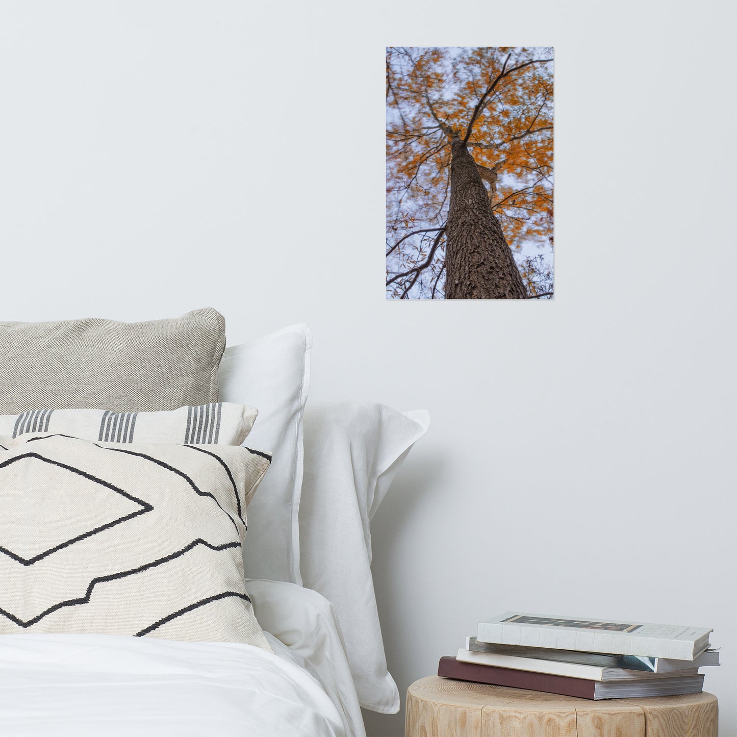 Wind in the Trees Rustic Farmhouse Style Botanical Nature Photo Loose Unframed Wall Art Prints