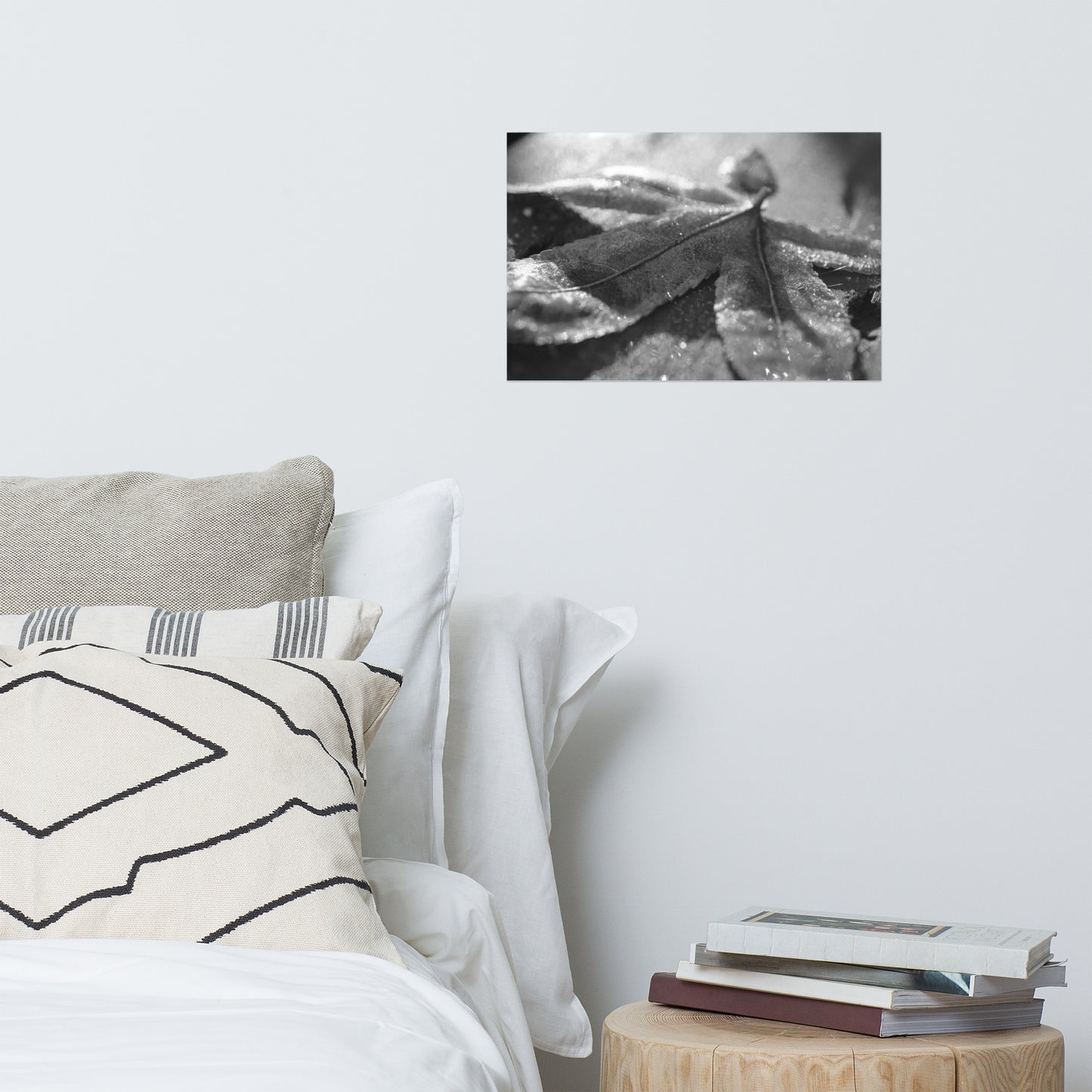 Frost Covered Leaf Black and White Botanical Nature Photo Loose Unframed Wall Art Prints