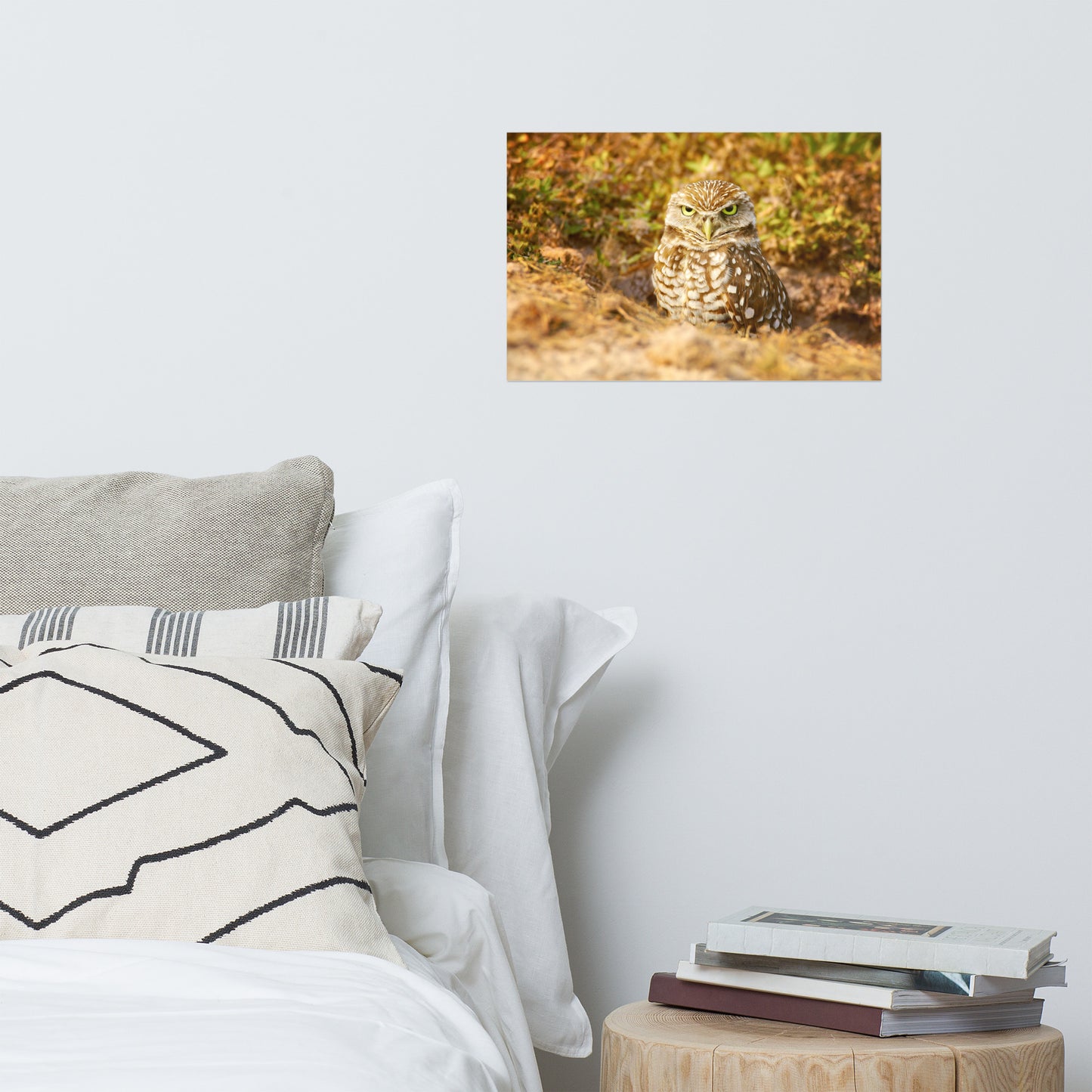 Burrowing Owl in Golden Light Rustic Bird / Animal / Wildlife Photograph Art Print