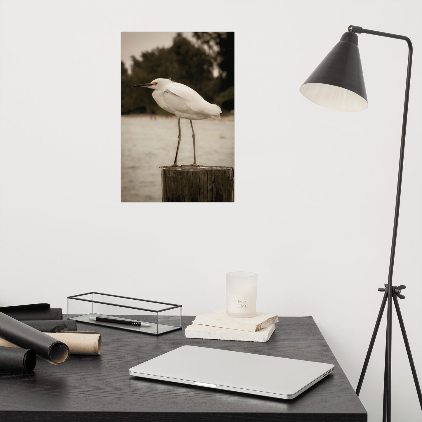 Artwork For Your Office: Aged and Colorized Snowy Egret on Pillar Sepia Coastal Bird / Animal / Wildlife / Nature Loose / Unframed / Frameless / Frameable Wall Art Print - Artwork