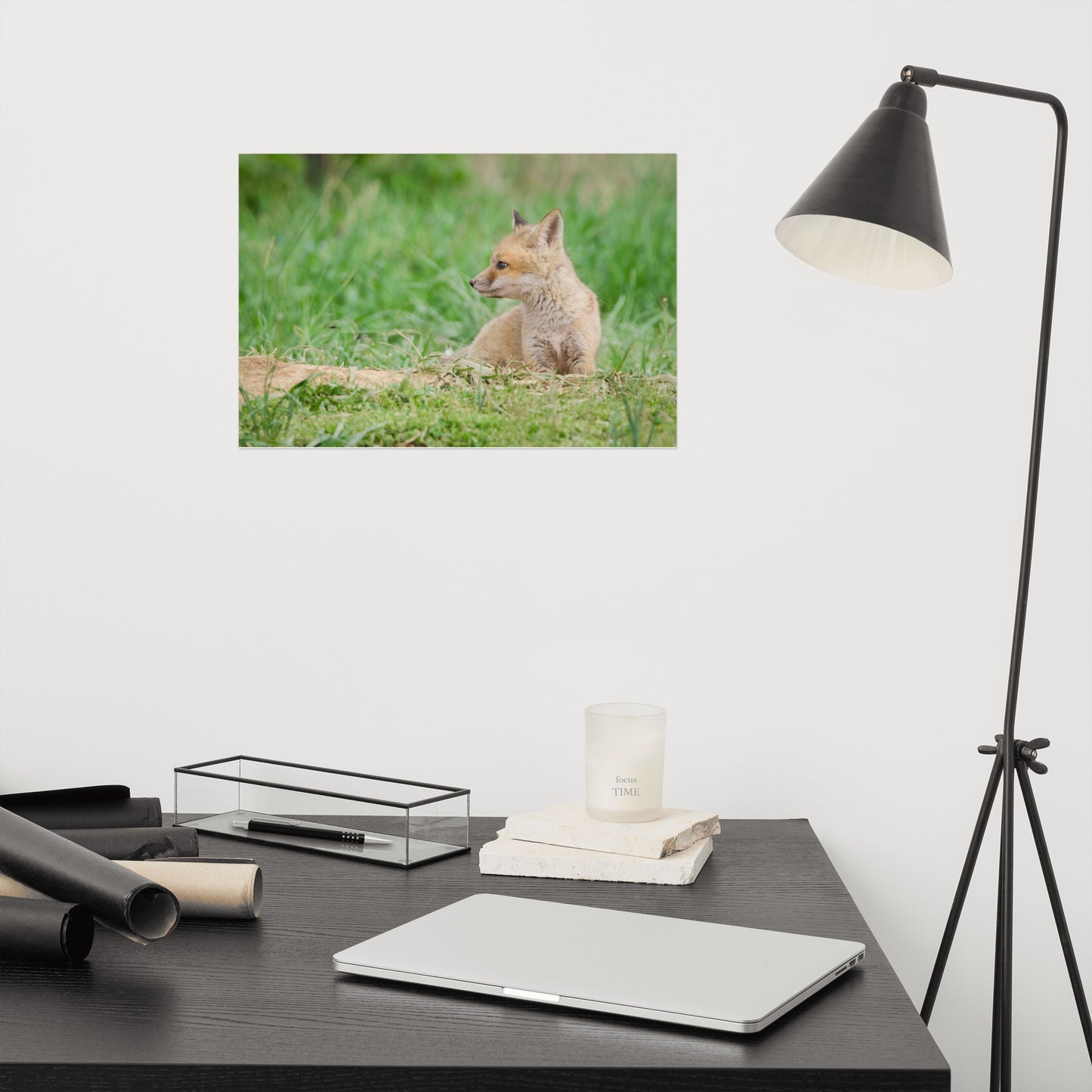 Fox Wall Art: Red Fox Pups - Chillin Animal / Wildlife / Nature Photograph Loose / Unframed / Frameless / Frameable Wall Art Print - Artwork
