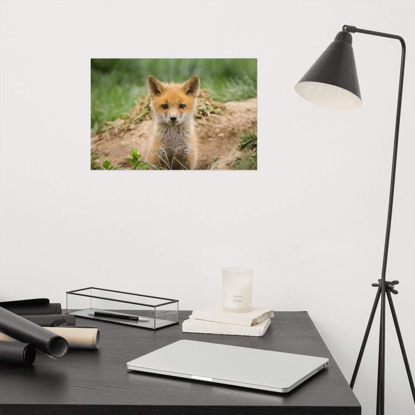Bathroom Wall Art Prints: Young Red Fox Kit - Animal / Wildlife / Nature Photograph Loose / Unframed / Frameless / Frameable Wall Art Print / Artwork
