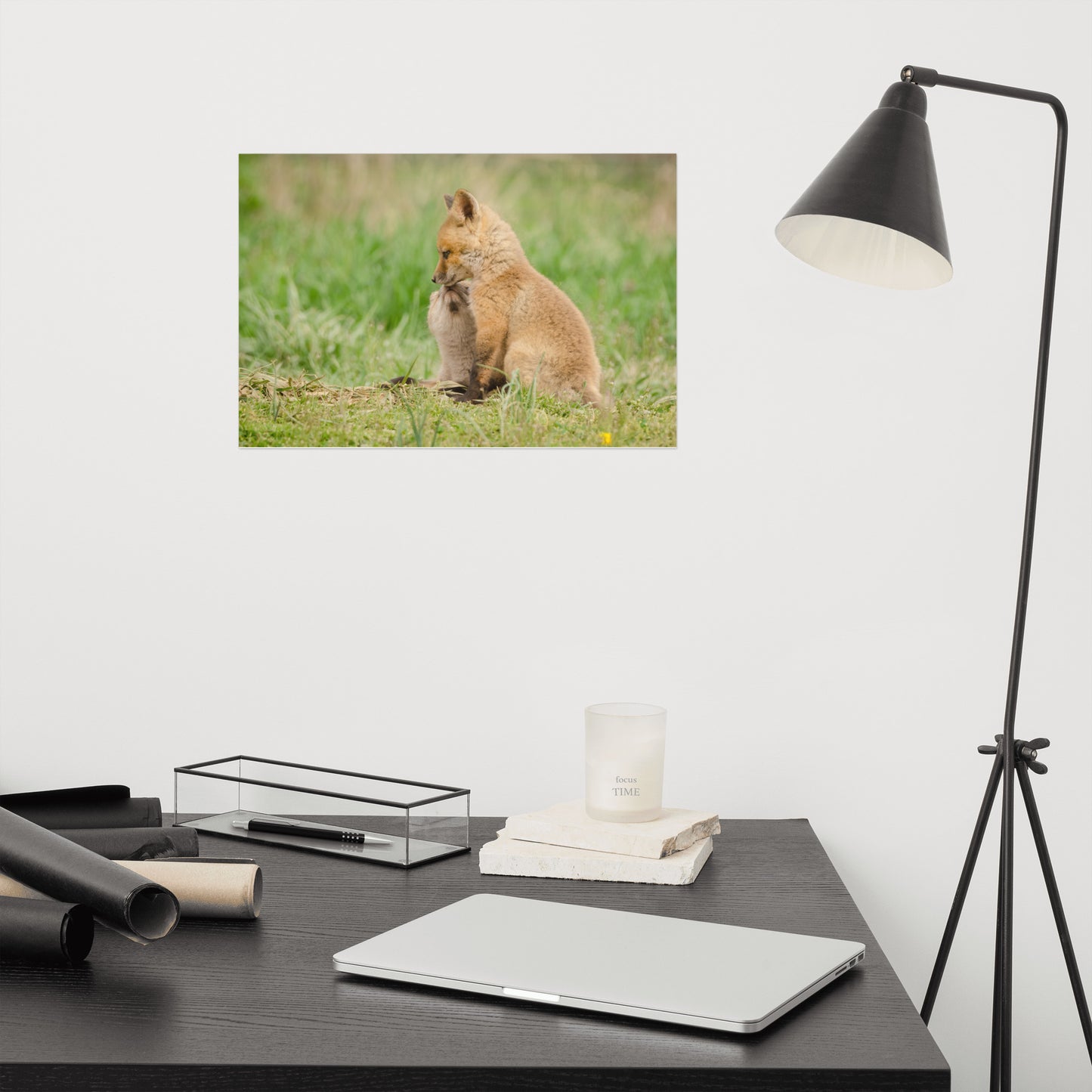 Baby Red Foxes Sibling Kisses Loose Wall Art Print