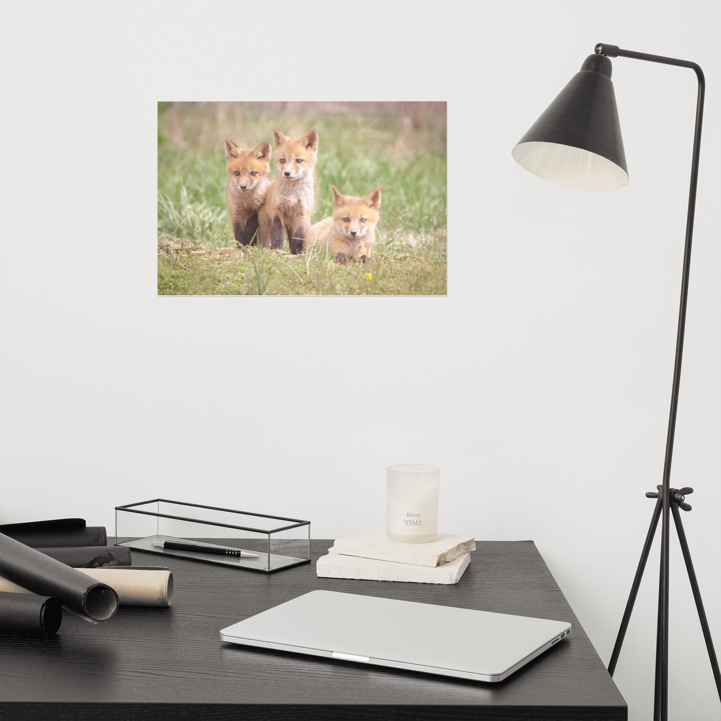 Baby Red Foxes Siblings Loose Wall Art Print