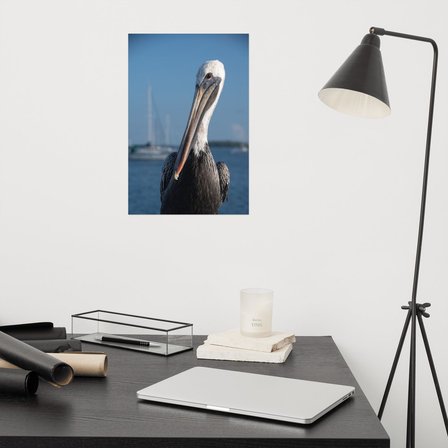 Bob The Pelican 3 Color Loose Wall Art Print