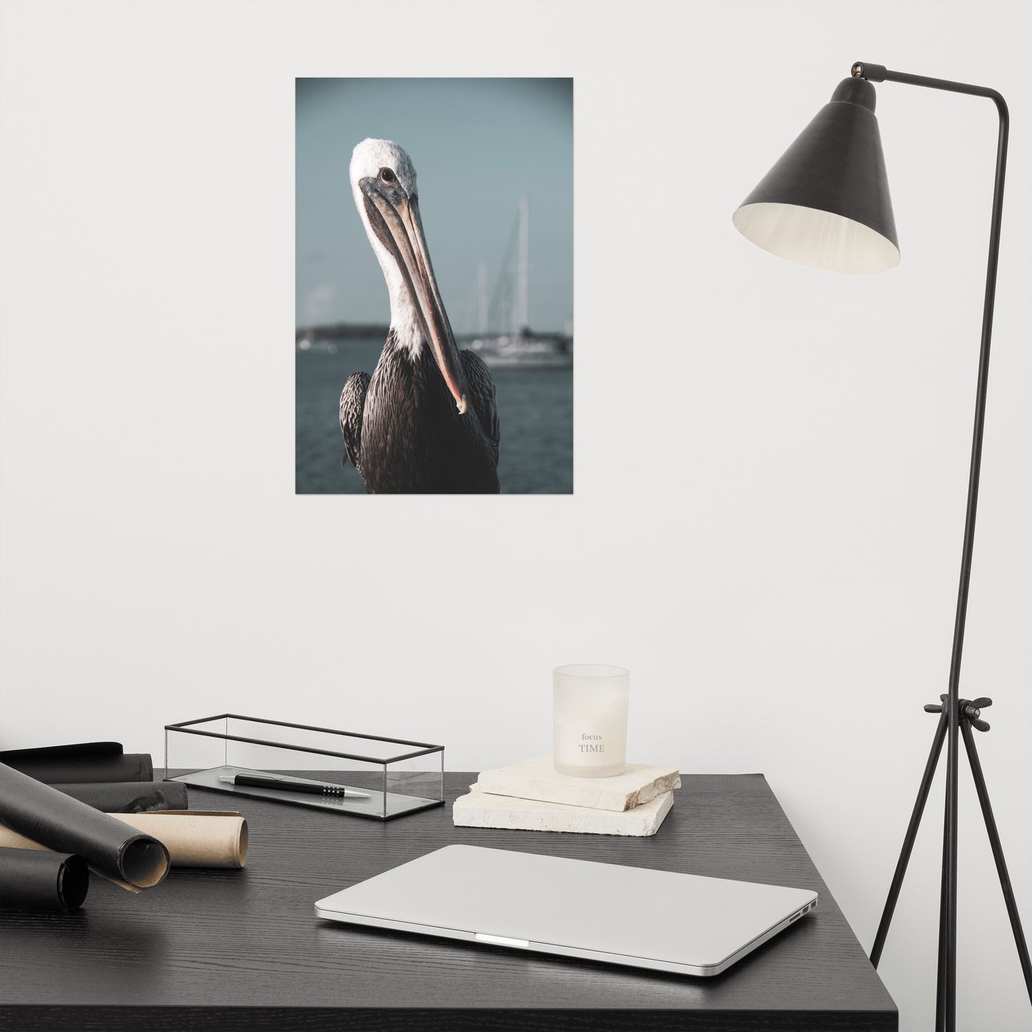 Bob The Pelican 3R Colorized Loose Wall Art Print