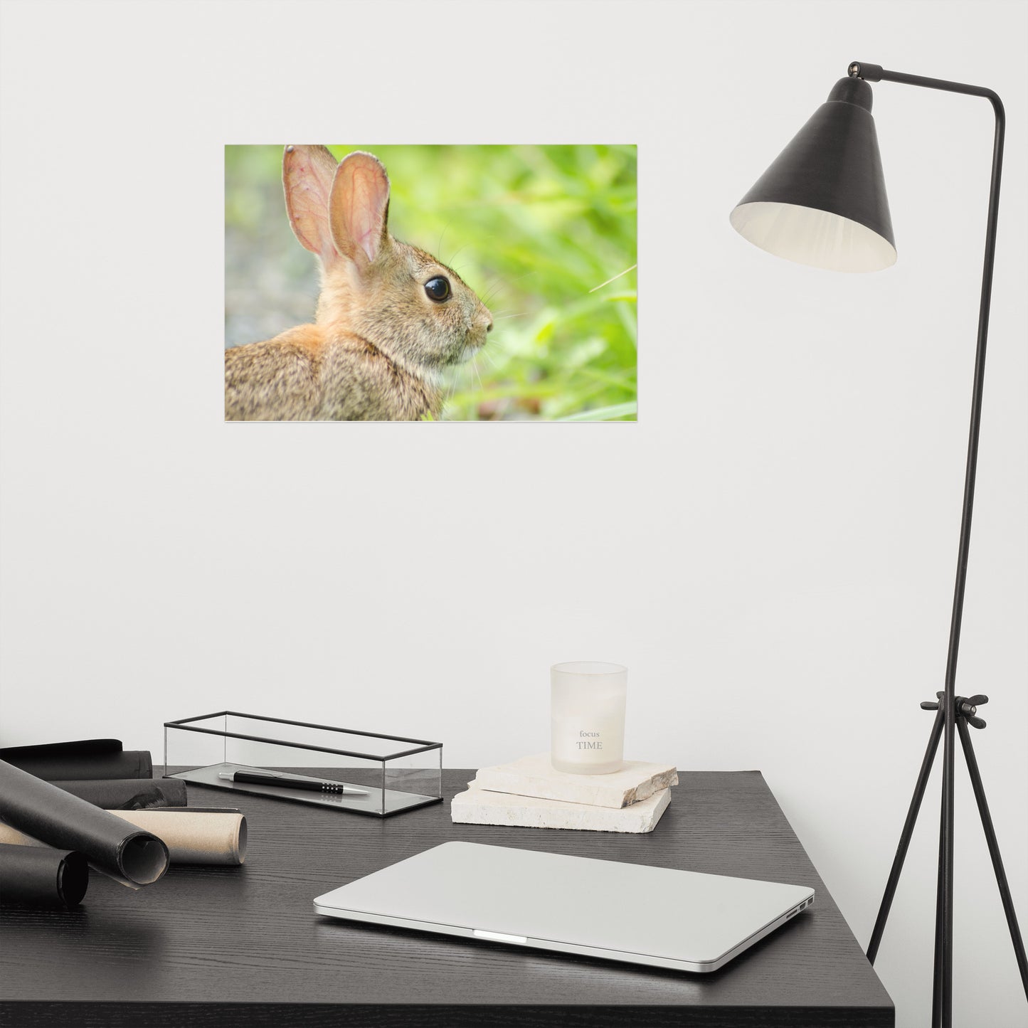 Bunny at Bombay Hook Animal / Wildlife Photograph Loose Wall Art Print