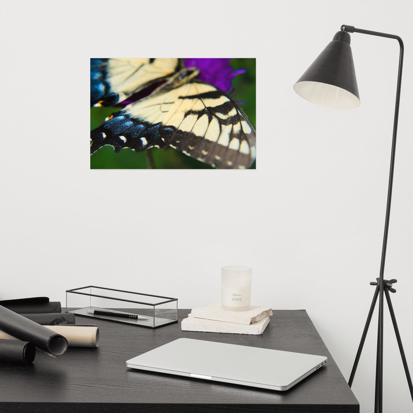 Butterfly Wings Animal / Wildlife Photograph Loose Wall Art Print