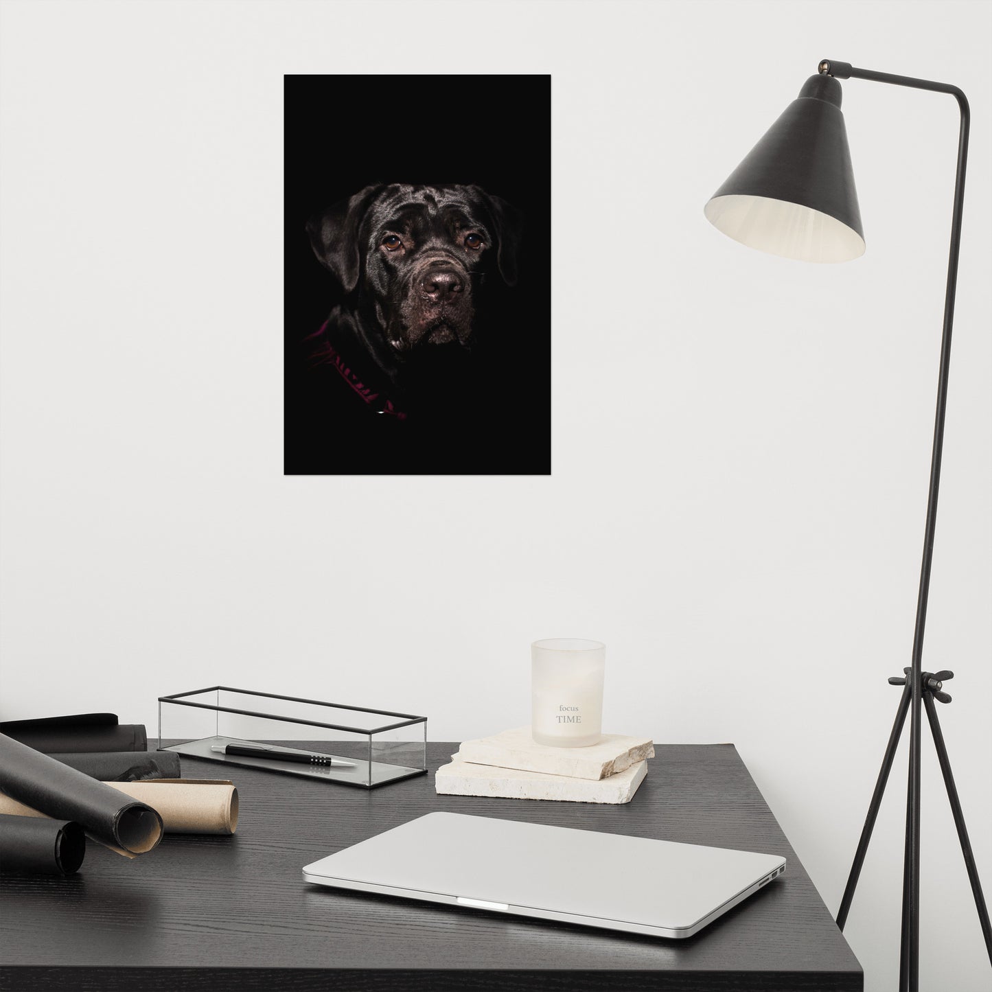 Cane Corso Low-Key Animal Photograph Loose Wall Art Print