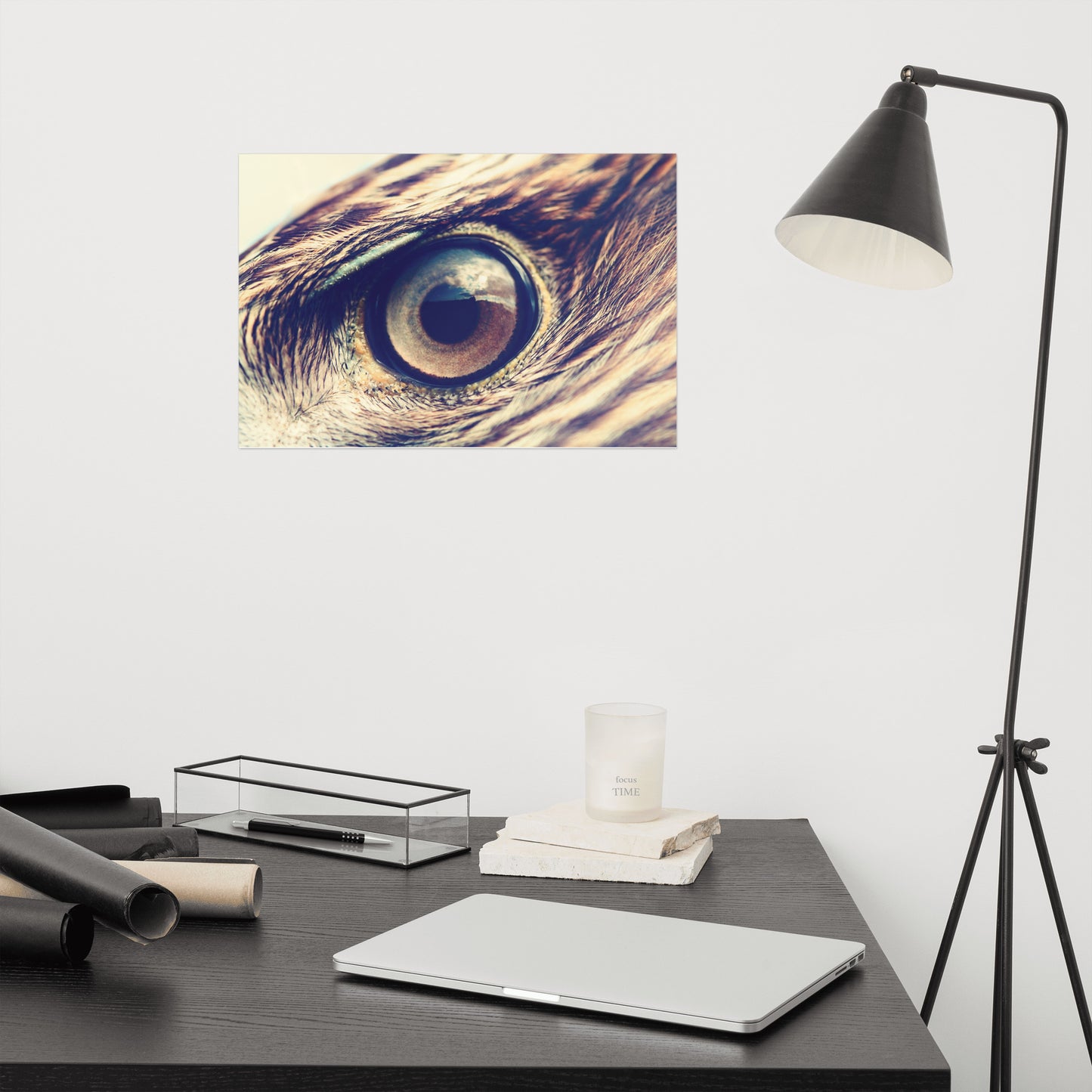 Close-up Eagle Eye Color Tone Rustic Bird / Animal / Wildlife Photo Loose Wall Art Print