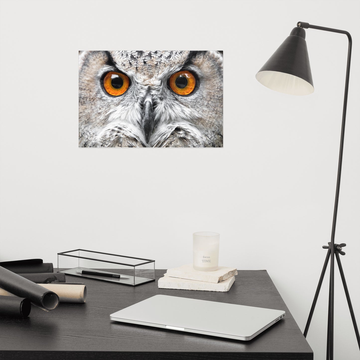 Close-up Yellow Owl Eyes Rustic Bird / Animal / Wildlife Photo Loose Wall Art Print