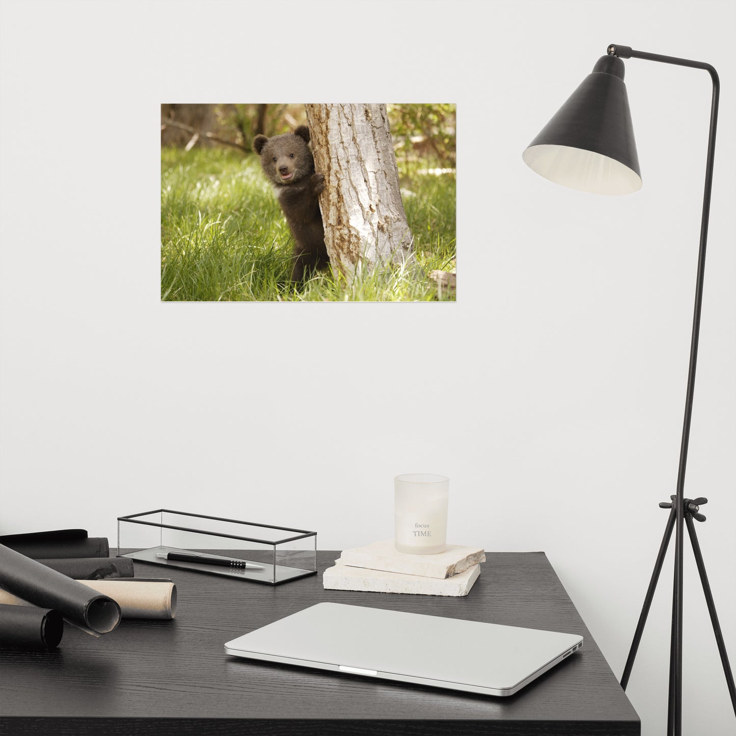 Cute Baby Grizzly Bear Cub Behind Tree In Meadow Rustic Animal / Wildlife Photo Loose Wall Art Print