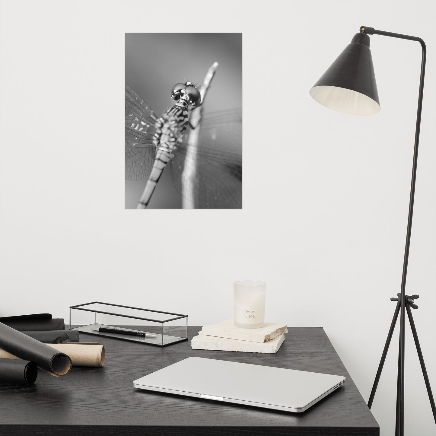 Dragonfly at Bombay Hook Black and White Rustic Wildlife Photograph Loose Wall Art Print