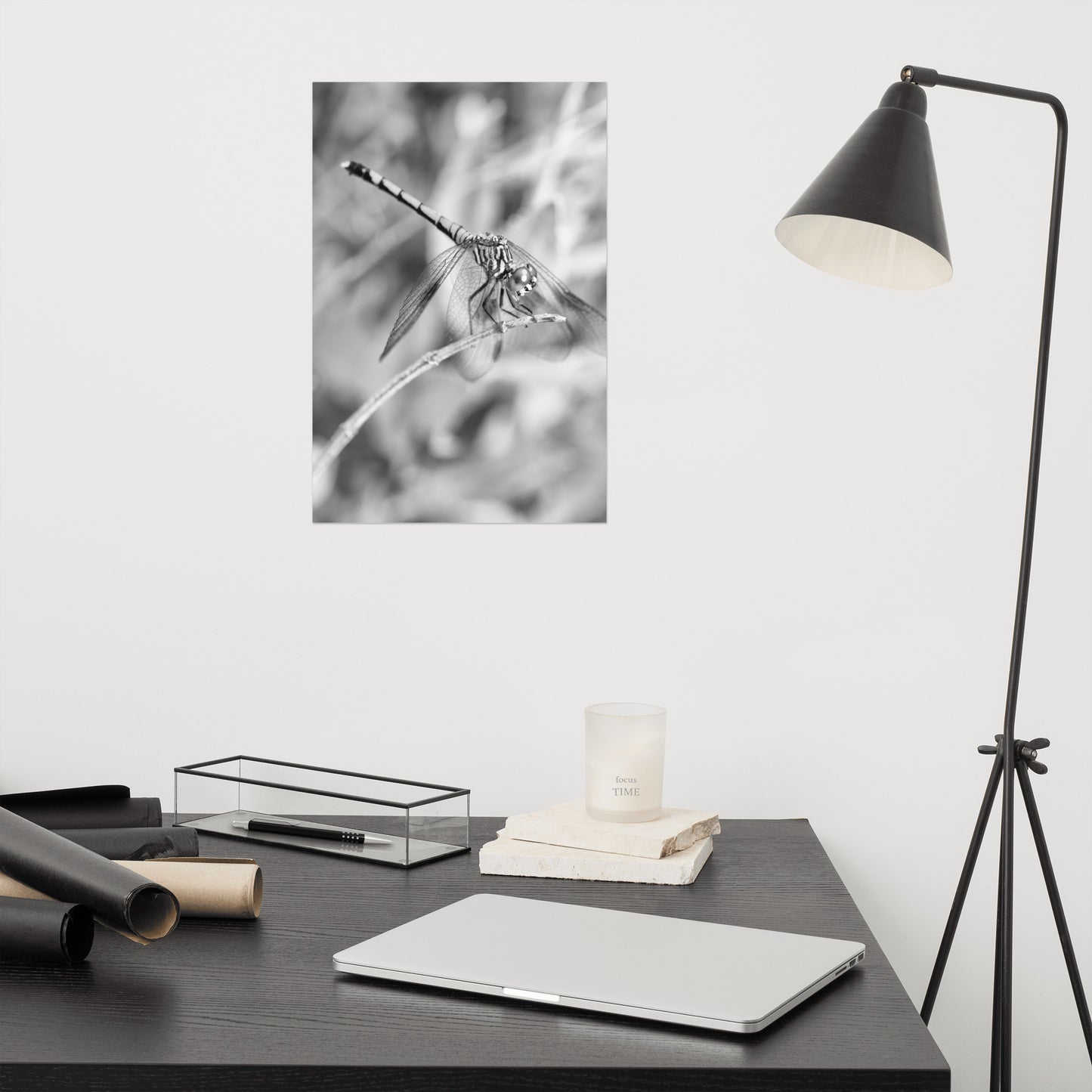 Dragonfly on Twig Black and White Rustic Wildlife Photograph Loose Wall Art Print