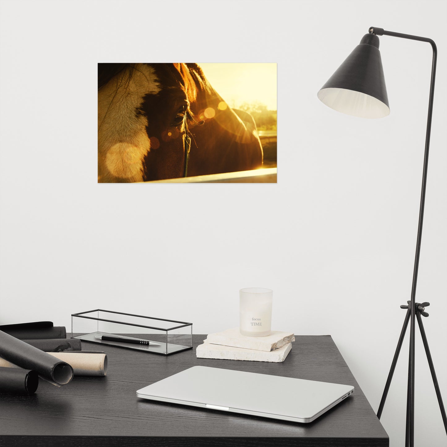 Evening Flare Rustic Farmhouse Style Horse Photograph Loose Wall Art Print