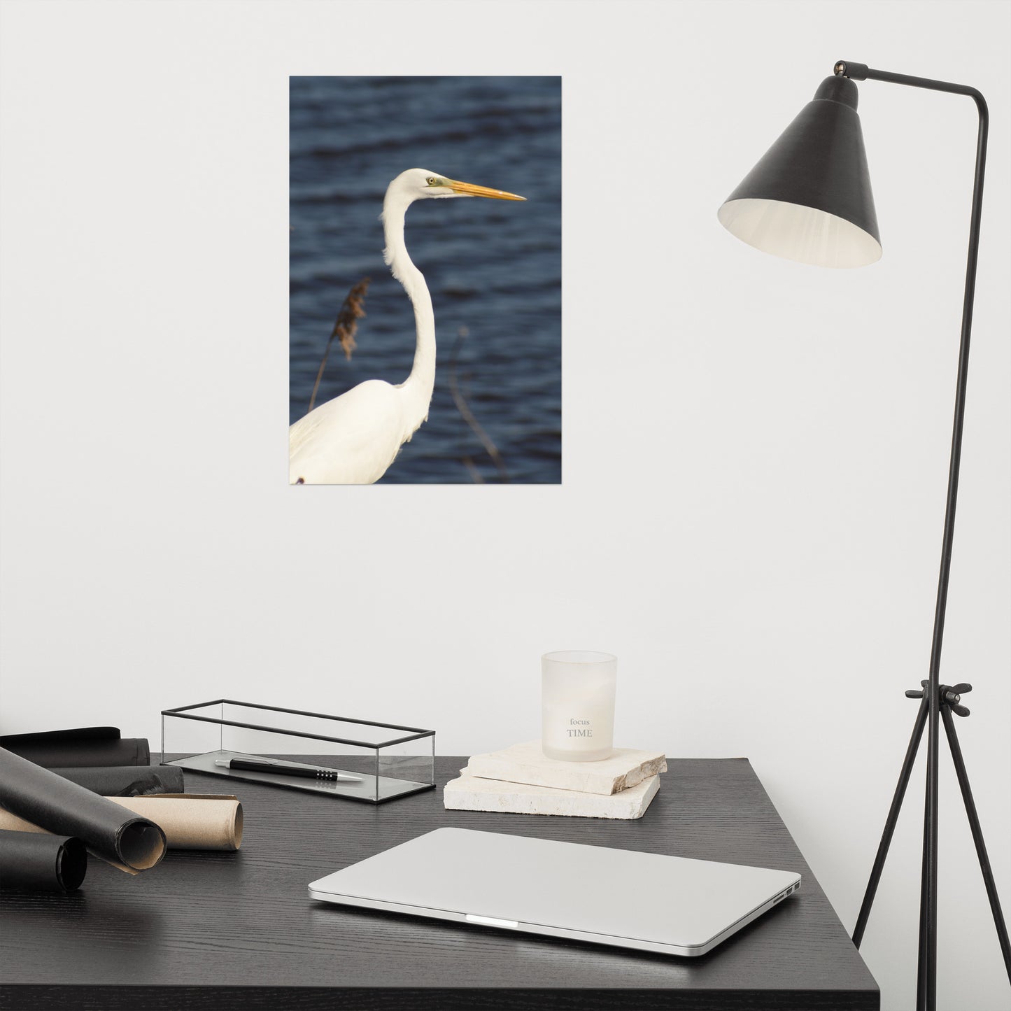 Great White Egret Bird / Animal / Wildlife Photograph Loose Wall Art Print