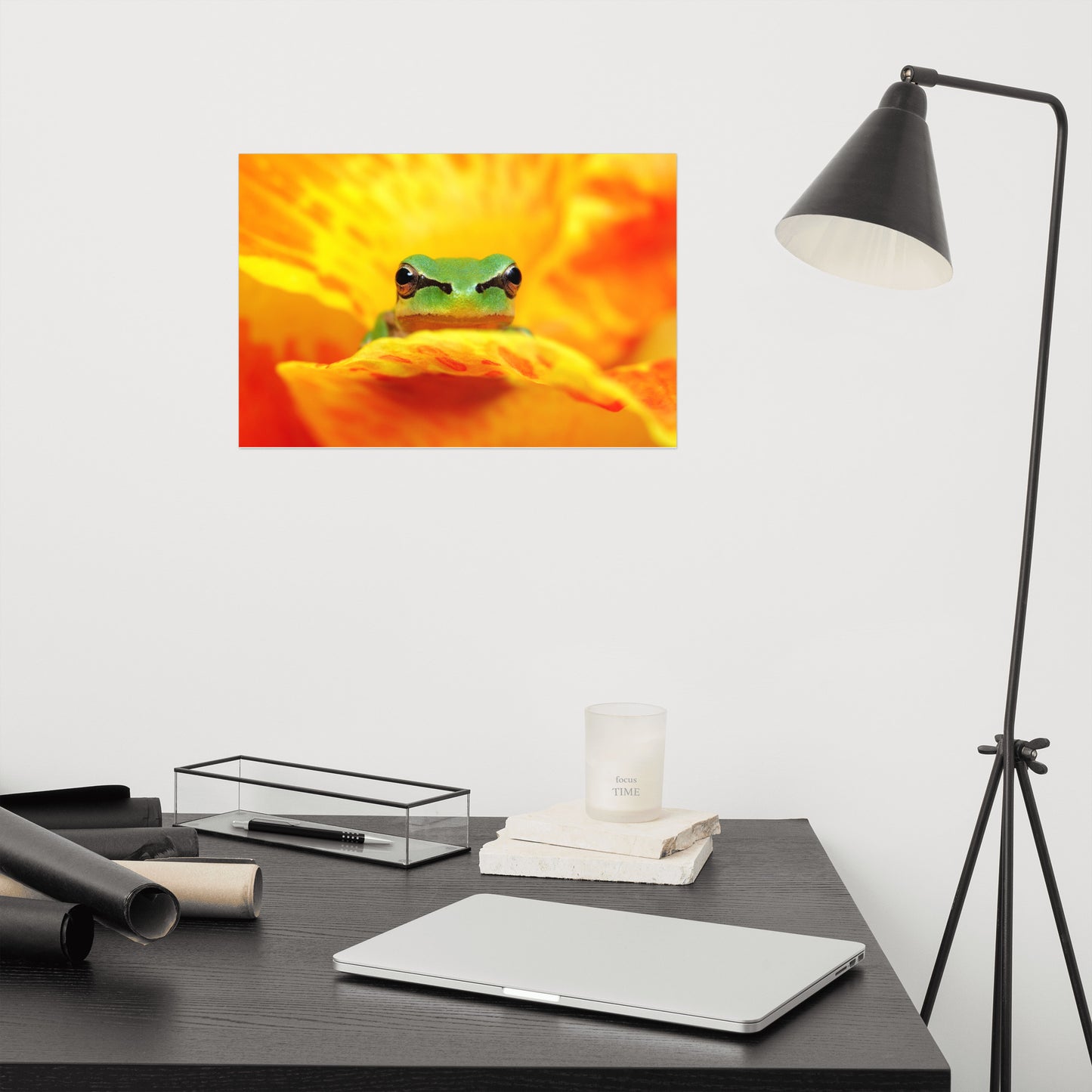 Hyla Green Frog on Yellow and Orange Flower Petals Wildlife Nature Photo Loose Wall Art Print