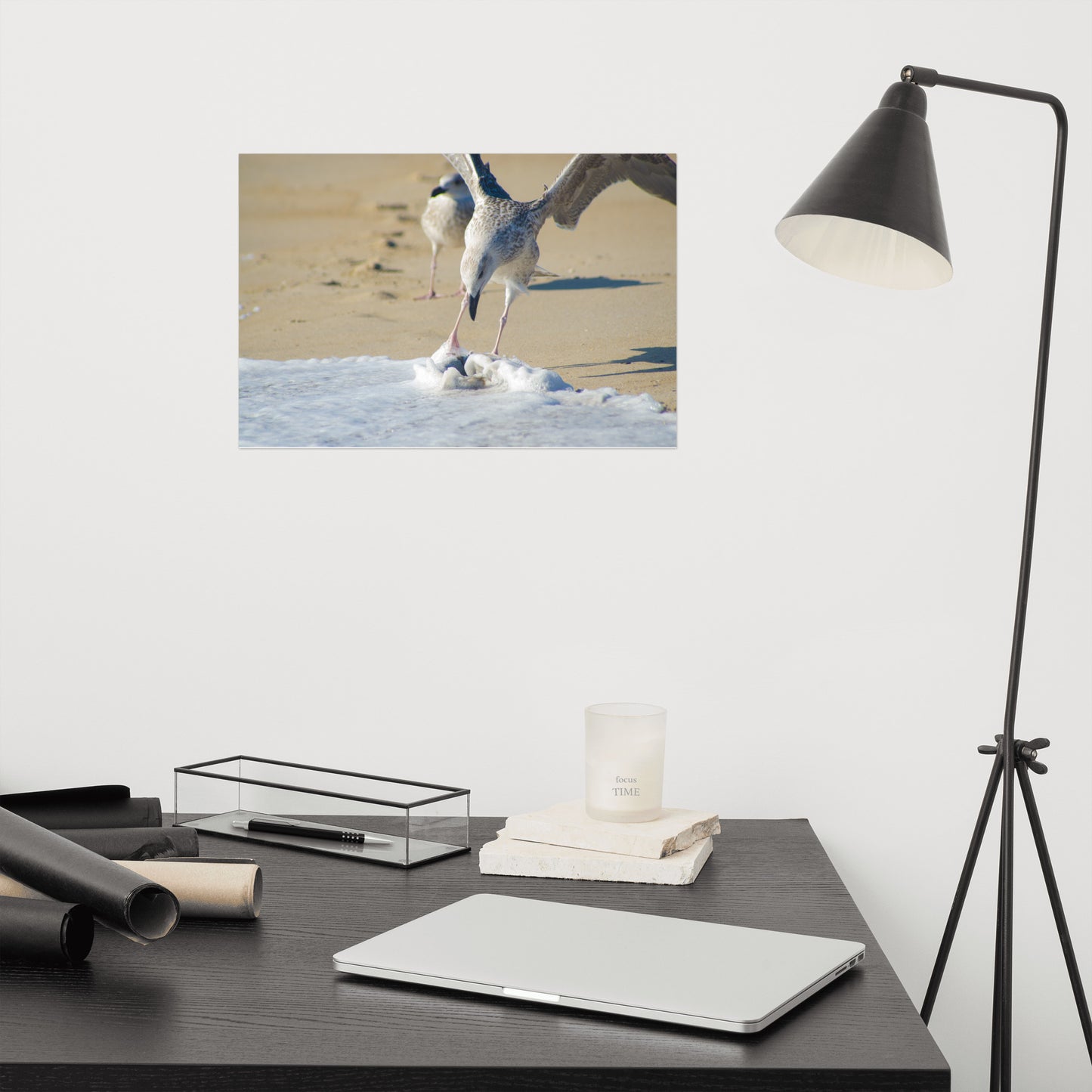 Oh That's Cold Coastal Bird Wildlife Photograph Loose Wall Art Print
