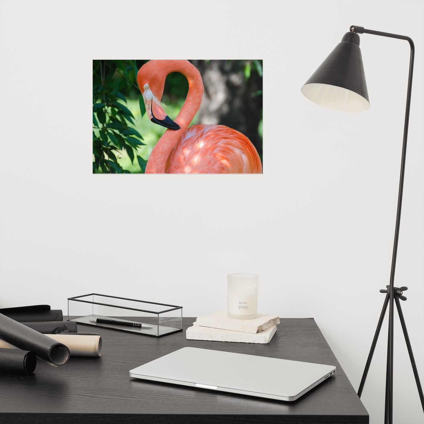 Pinky the Flamingo Coastal Bird Wildlife Photograph Loose Wall Art Print