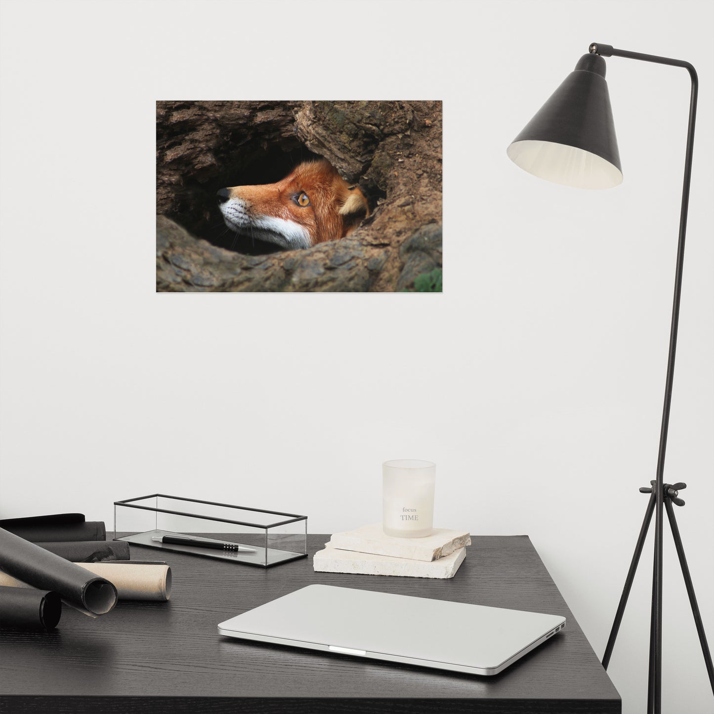 Red Fox Face in Stump of Tree Rustic Farmhouse Style Animal Wildlife Nature Photograph Loose Wall Art Print