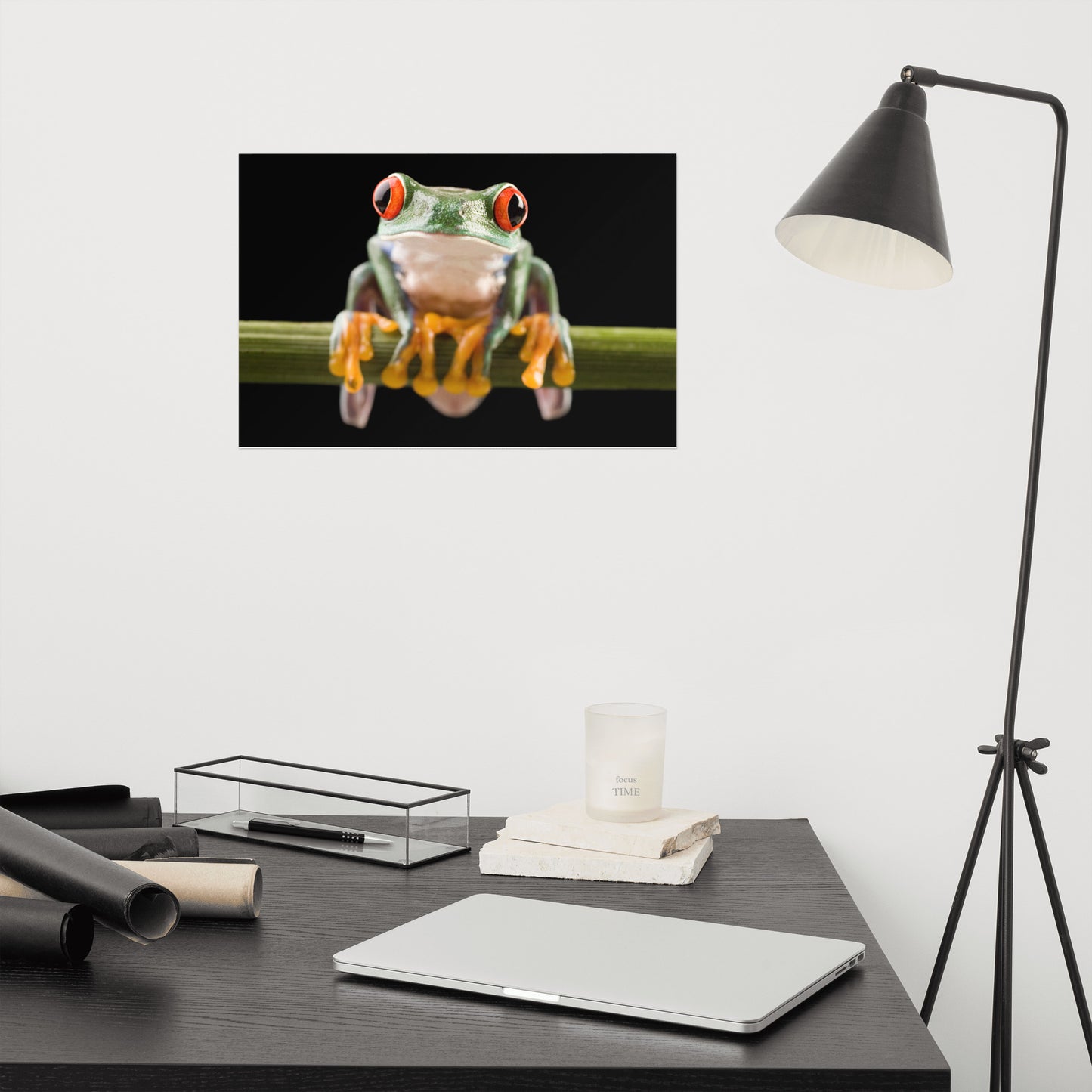 Red Eyed Tree Frog Sitting on Branch Animal Wildlife Nature Photo Loose Wall Art Print