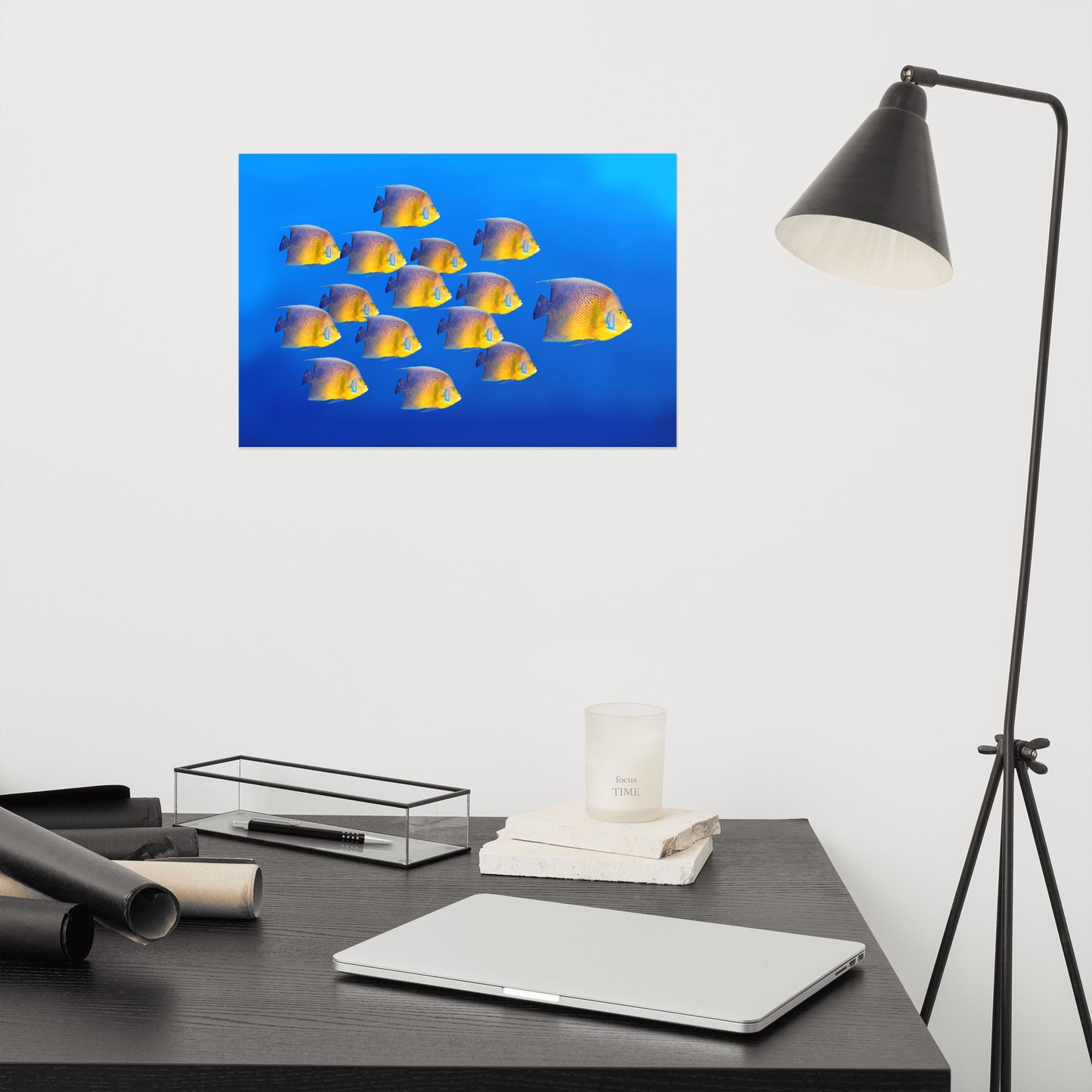 School of Tropical Coral Fish Angelfish Isolated In Blue Ocean Water Animal Wildlife Photograph Loose Wall Art Print
